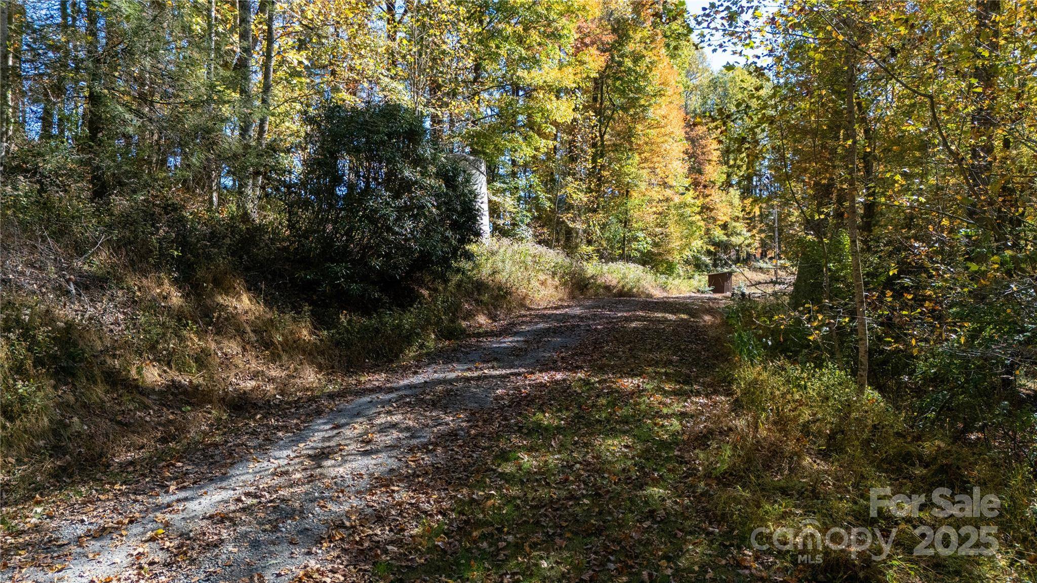 000 Sassafras DR, Little Switzerland, NC 28777
