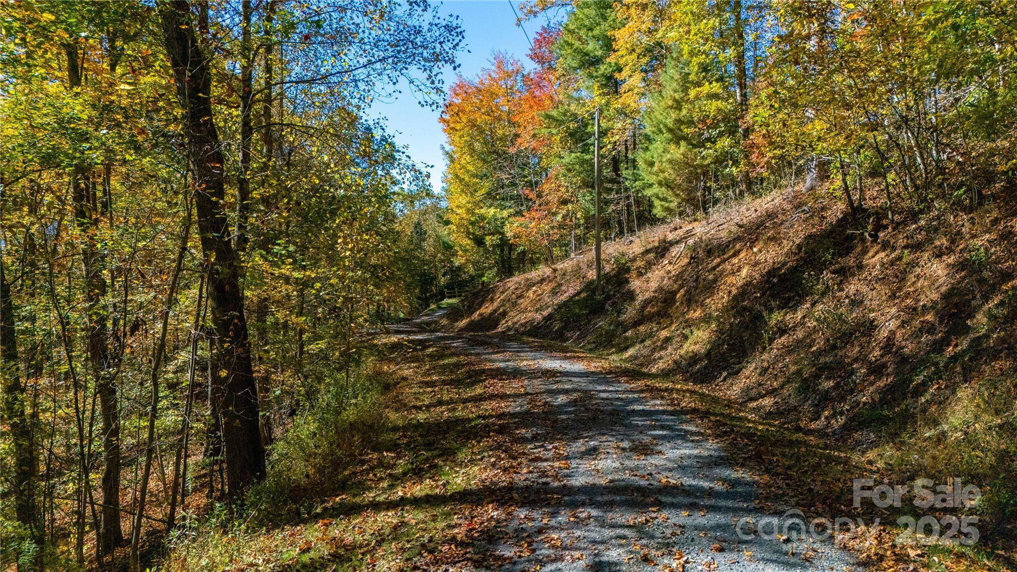 000 Sassafras DR, Little Switzerland, NC 28777