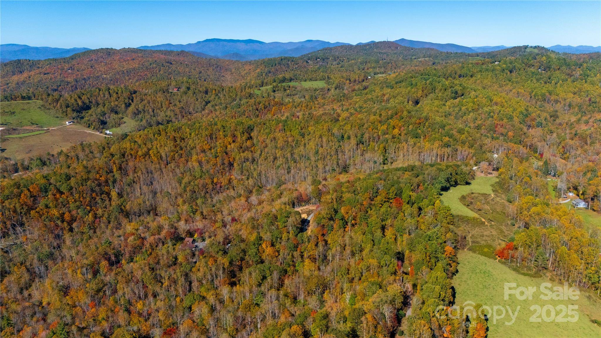 000 Sassafras DR, Little Switzerland, NC 28777
