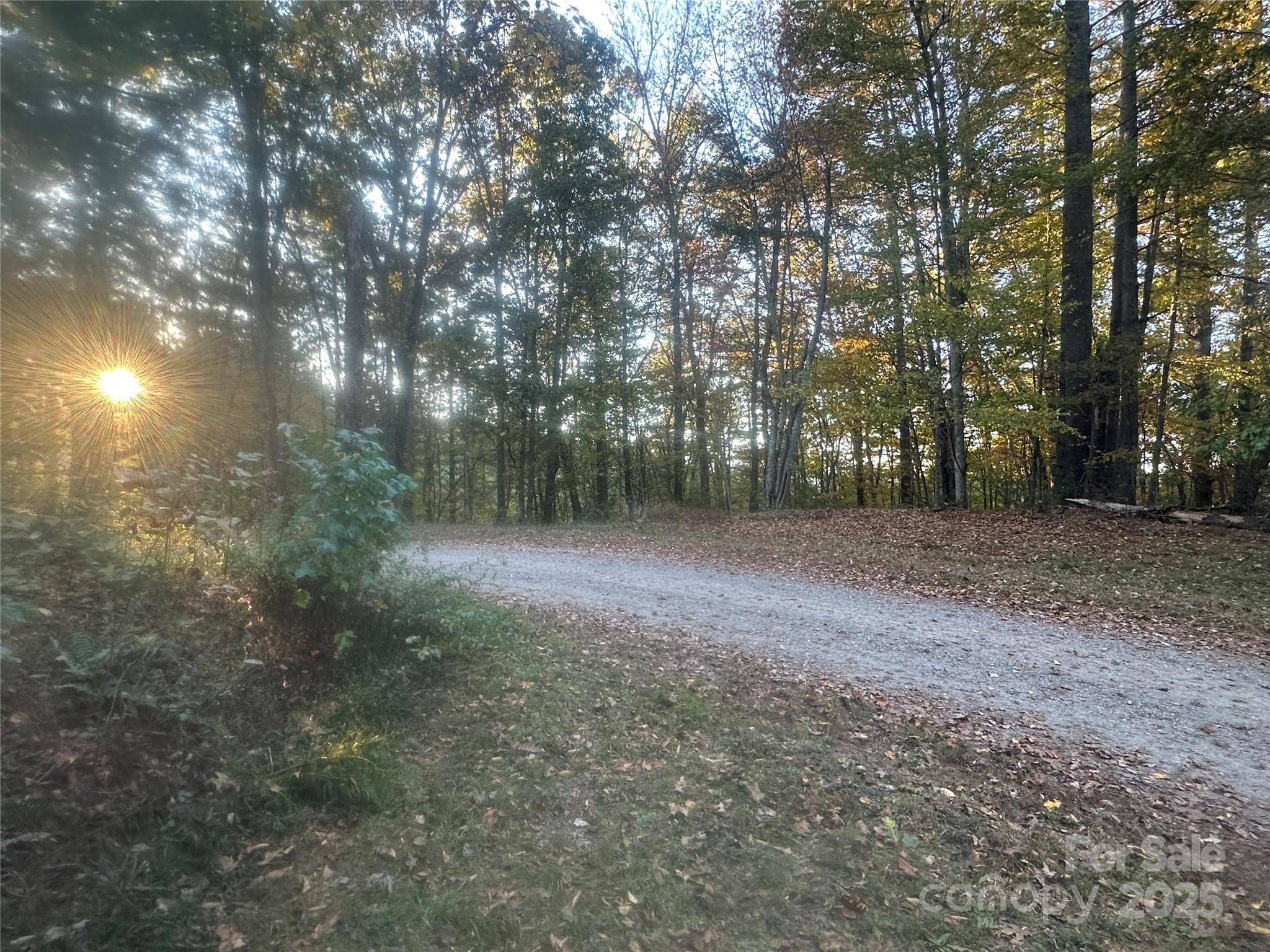 00 Wildlife DR #7, Clyde, NC 28721