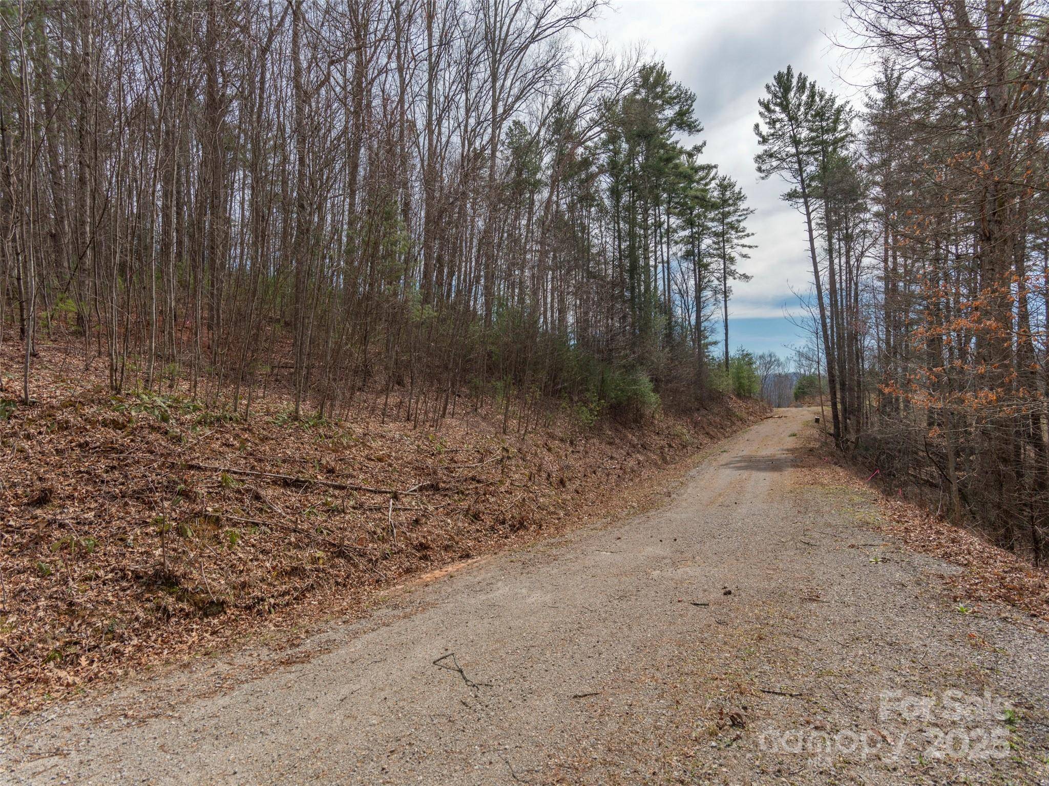 00 Wildlife DR #7, Clyde, NC 28721