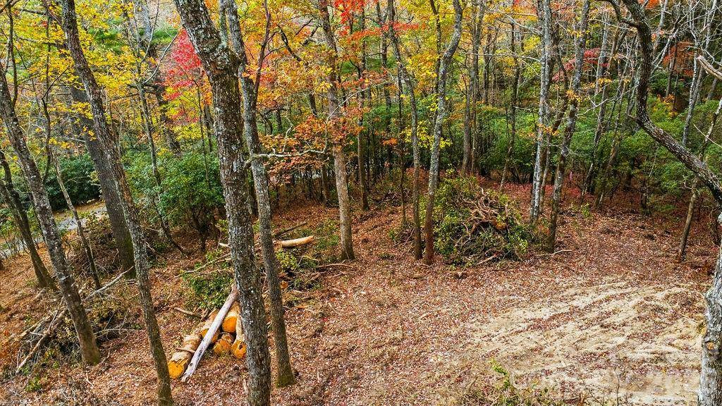 000 Indian Lake RD #21, Lake Toxaway, NC 28747