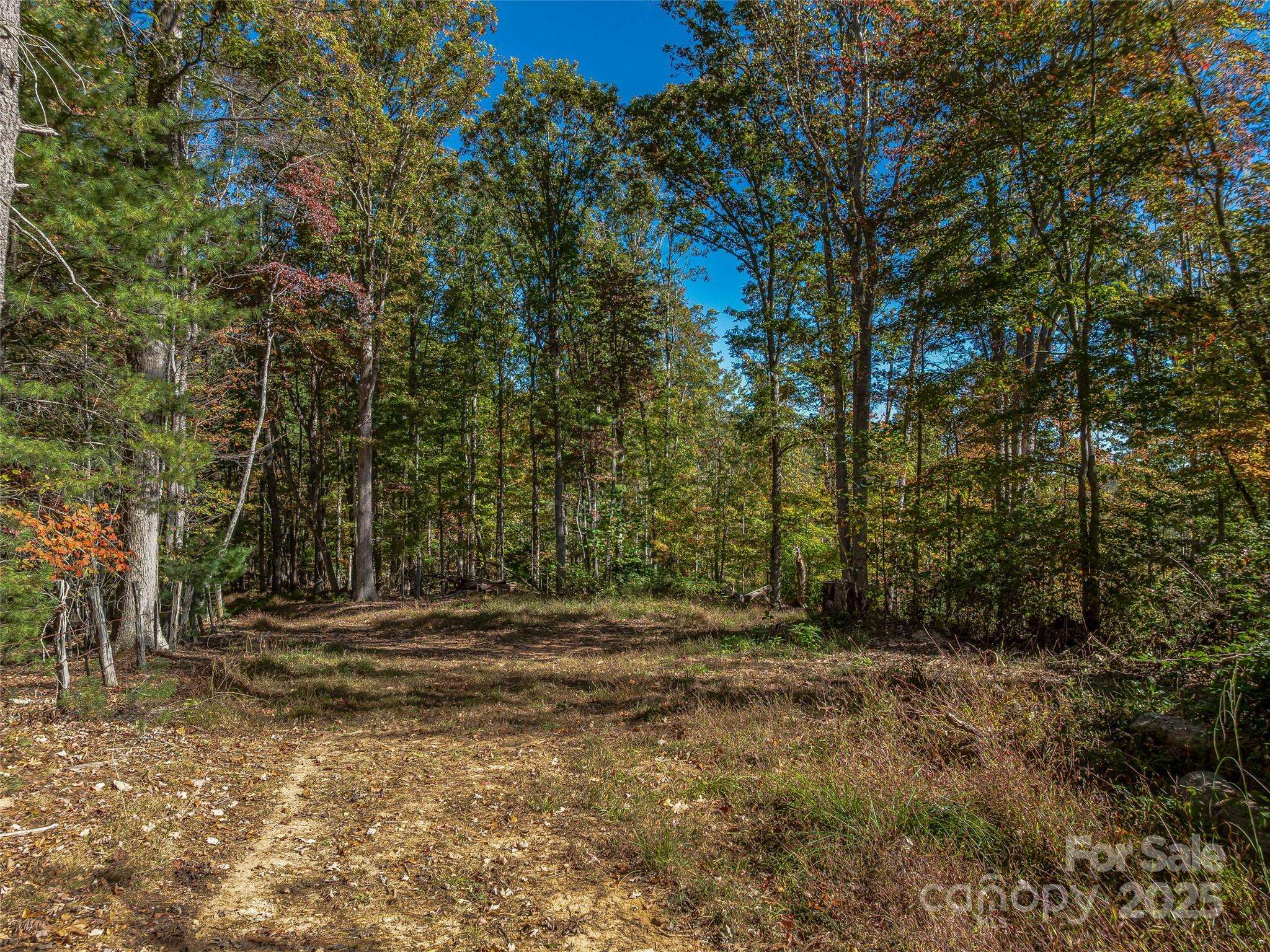 99999 Meadows Town RD, Marshall, NC 28753