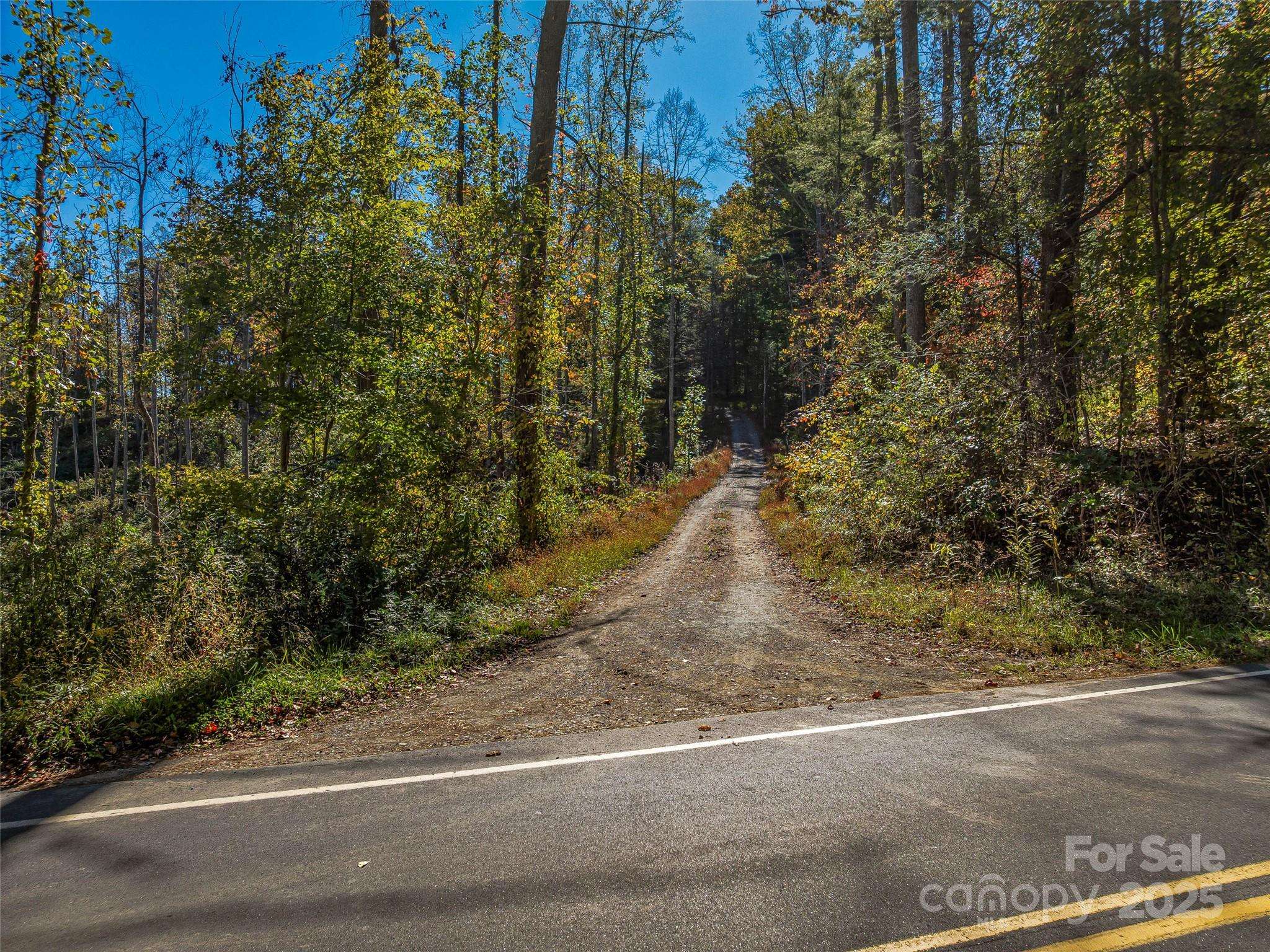 99999 Meadows Town RD, Marshall, NC 28753