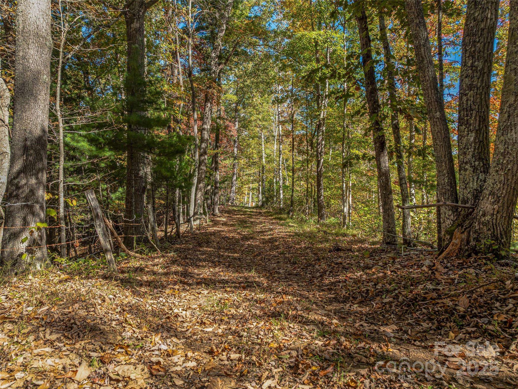 99999 Meadows Town RD, Marshall, NC 28753
