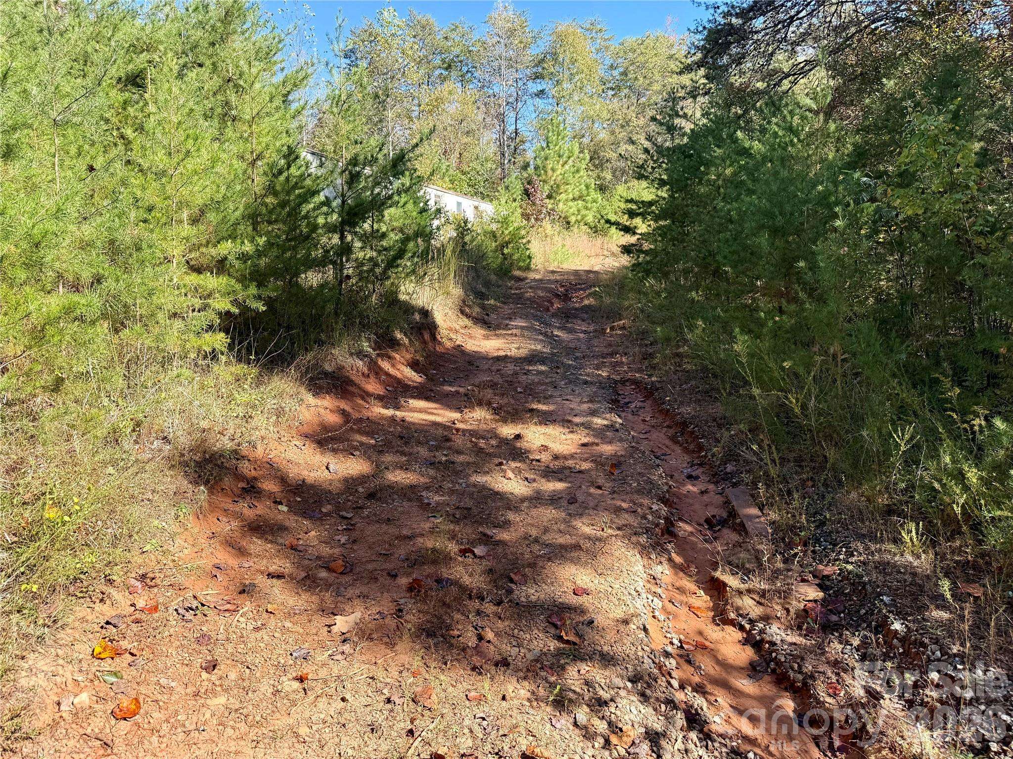 229 Kelsey LN, Rutherfordton, NC 28139