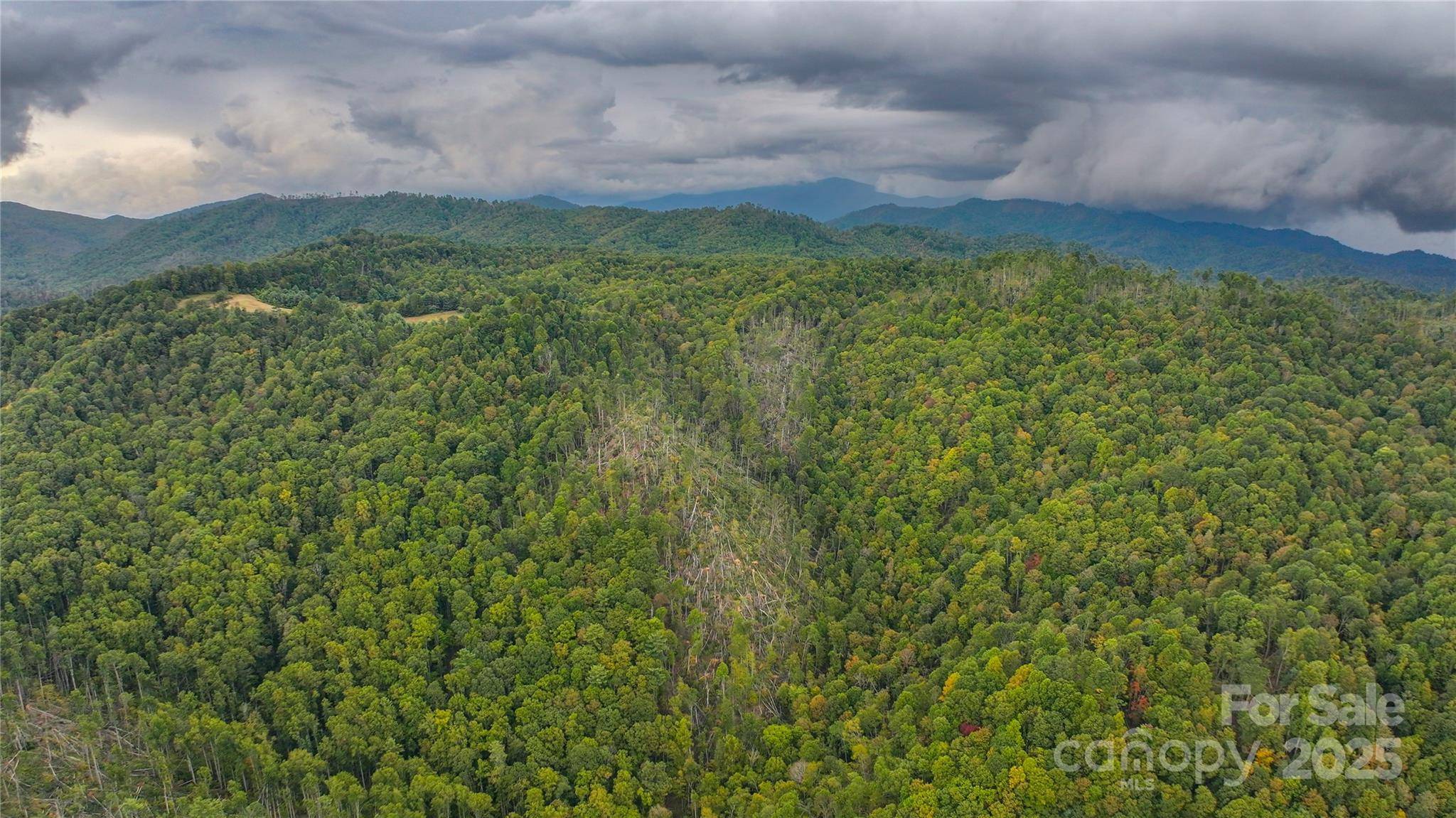 999 Poplar Creek RD, Green Mountain, NC 28740
