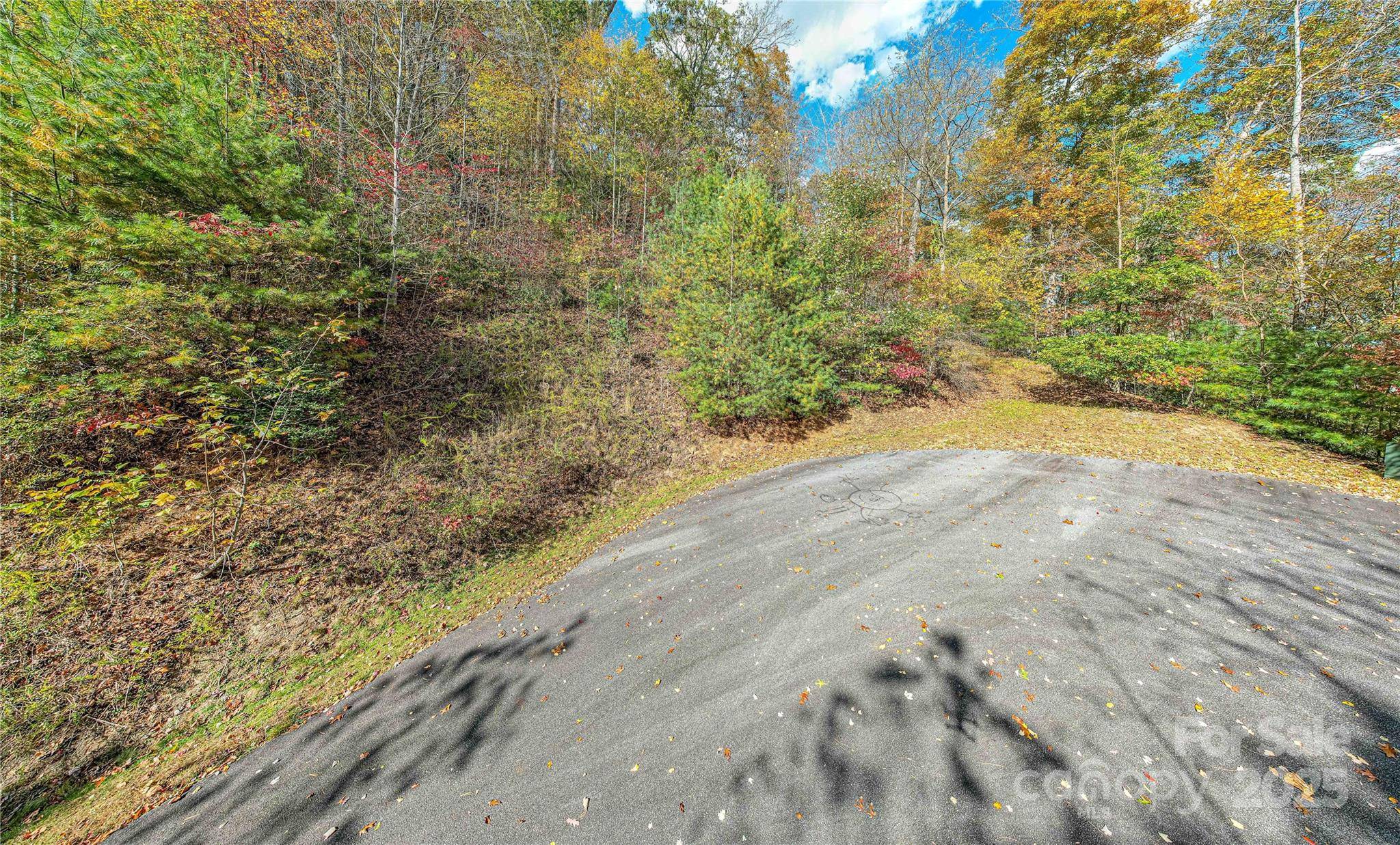 TBD High Point TRL #21, Brevard, NC 28712