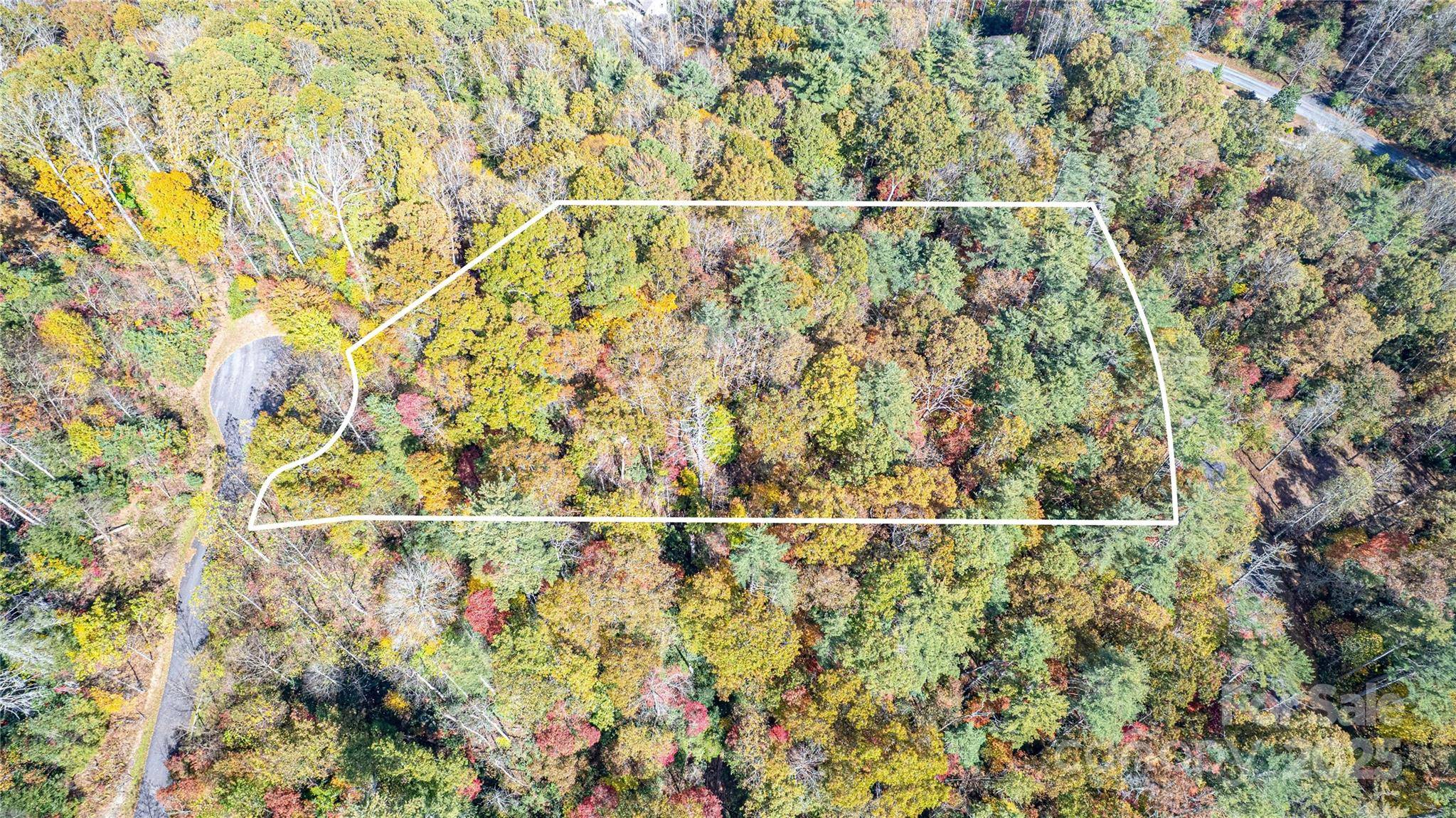 TBD High Point TRL #24, Brevard, NC 28712