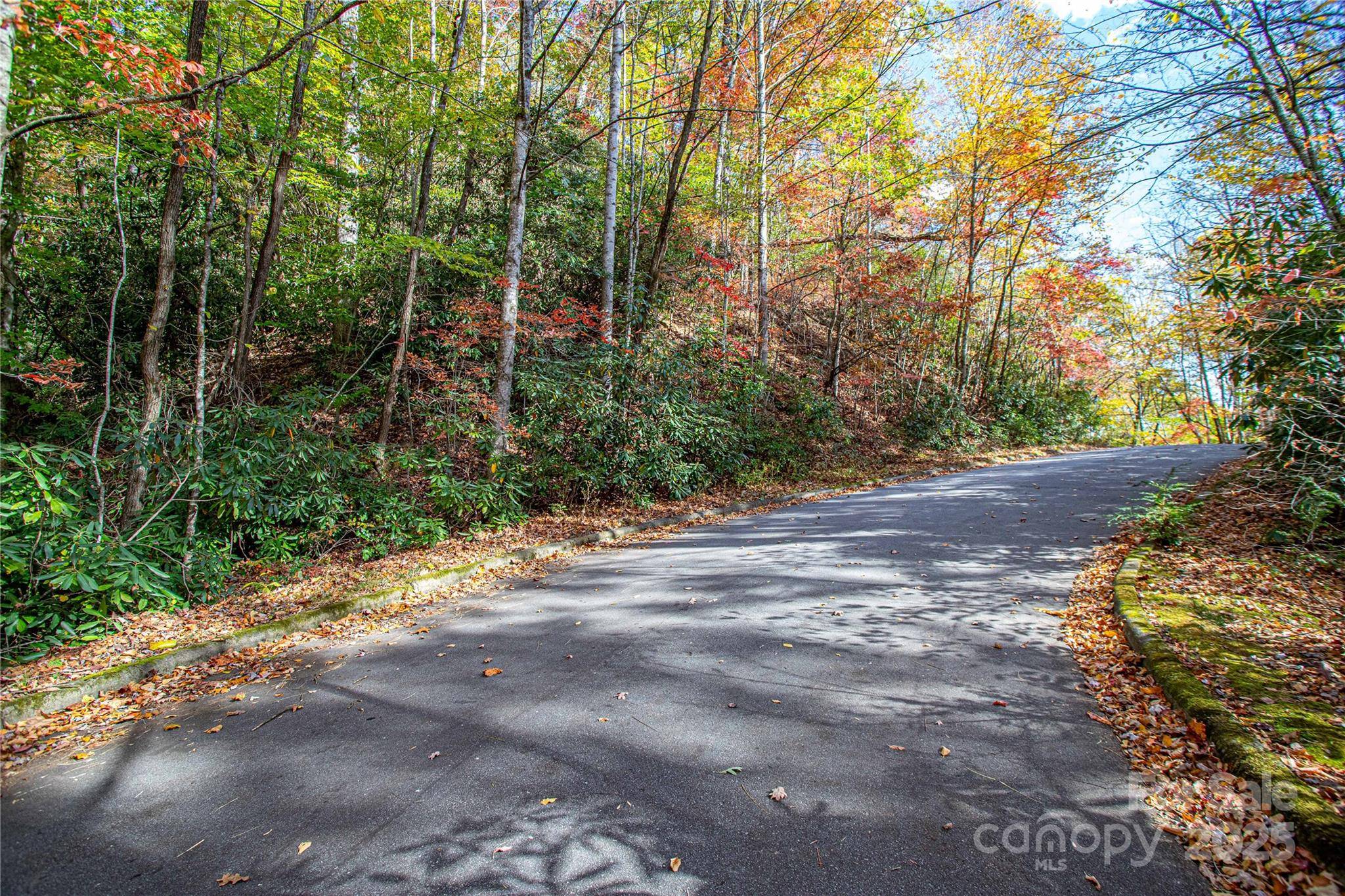 TBD Stone DR #11, Brevard, NC 28712