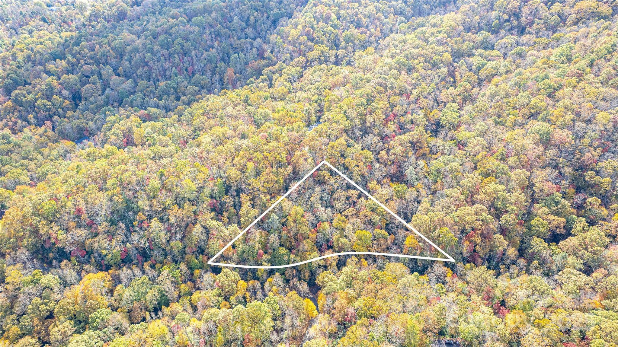 TBD Stone DR #13, Brevard, NC 28712