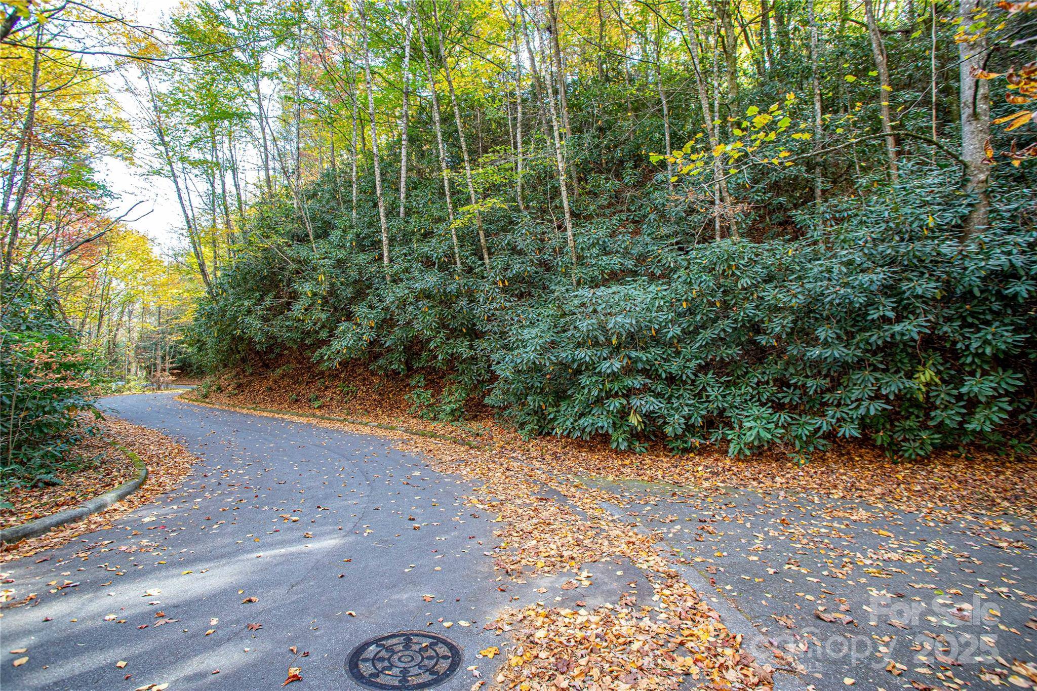 TBD Stone DR #13, Brevard, NC 28712