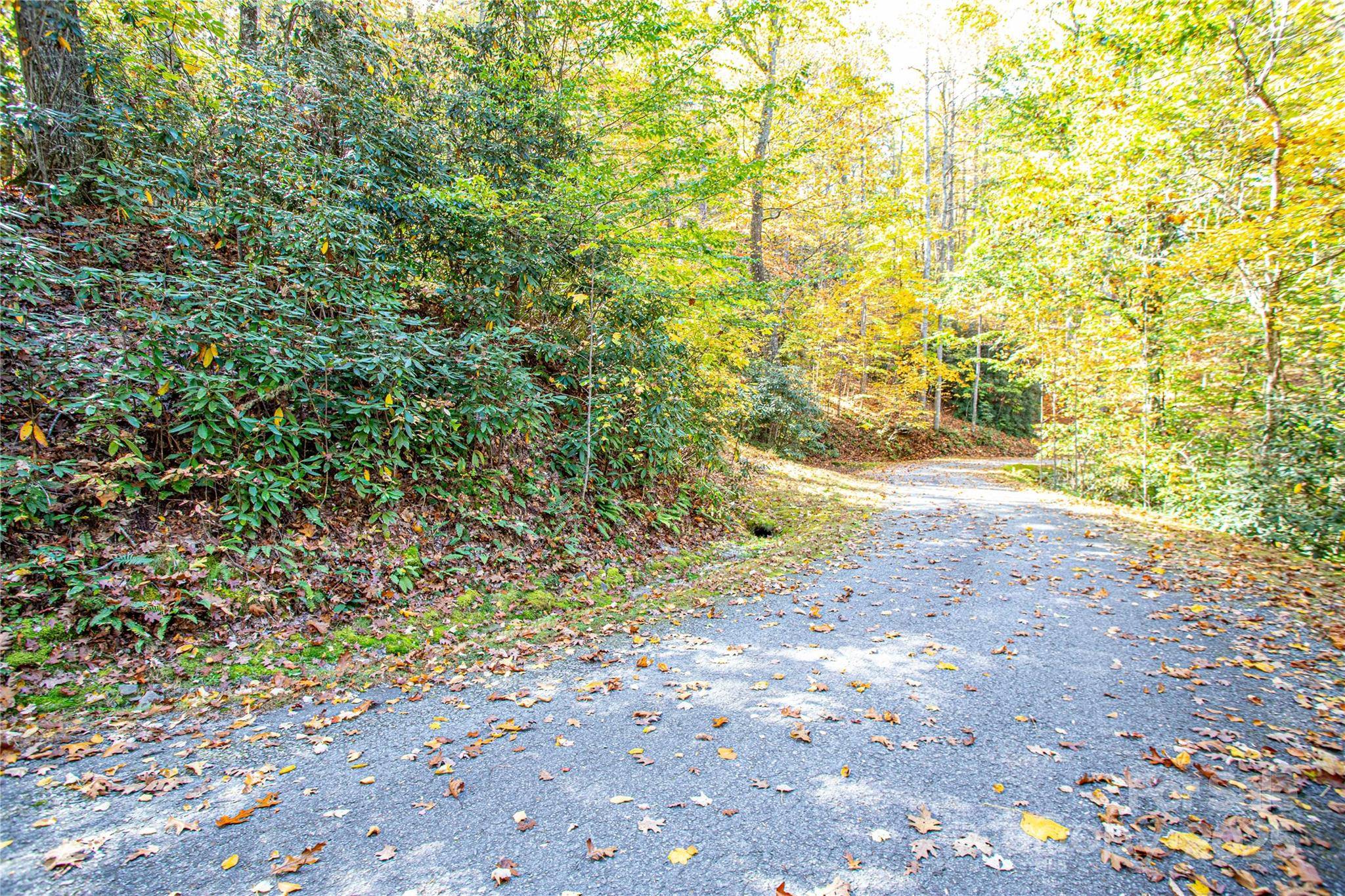 TBD Reserve RD #9A, Brevard, NC 28712