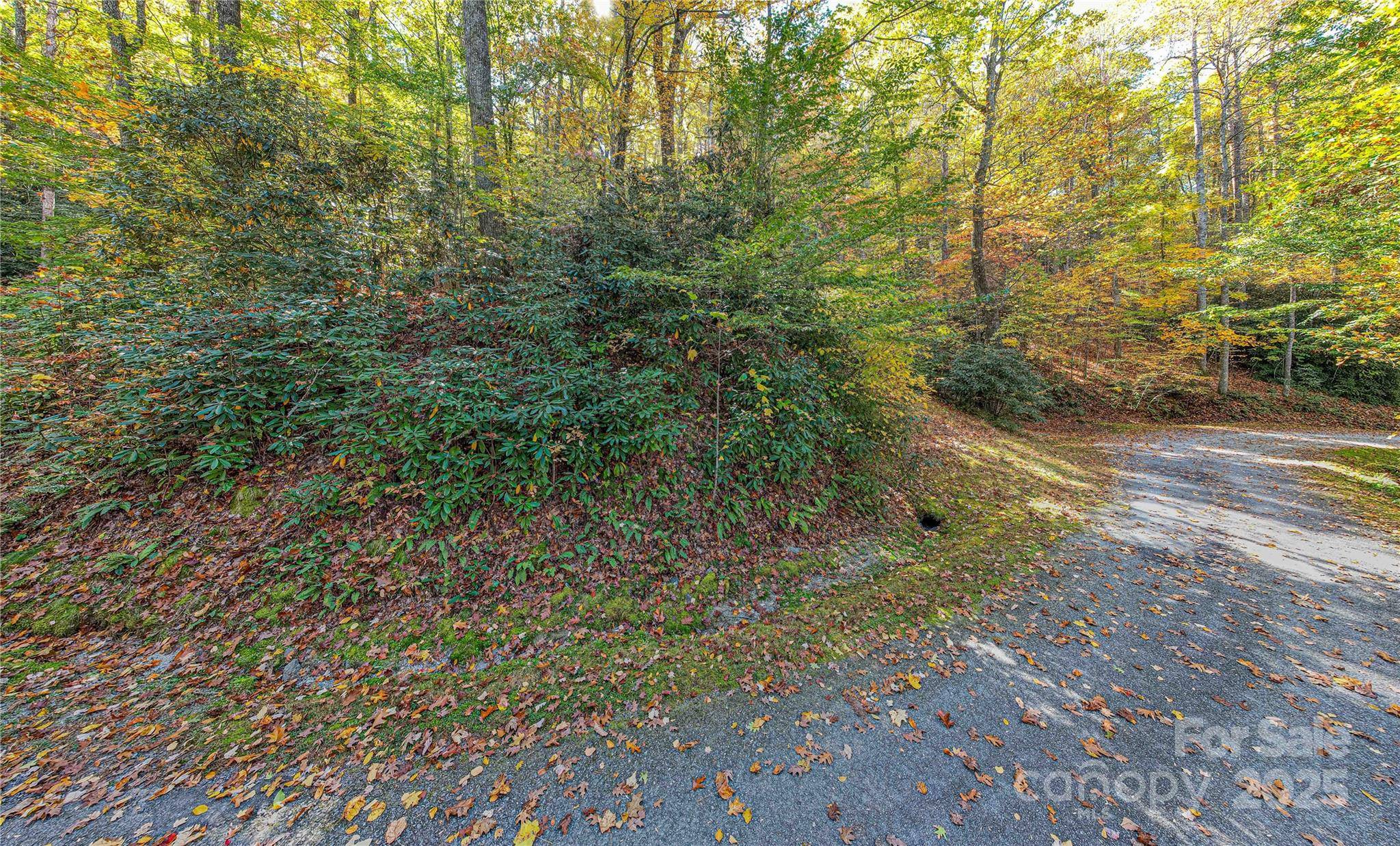TBD Reserve RD #9A, Brevard, NC 28712