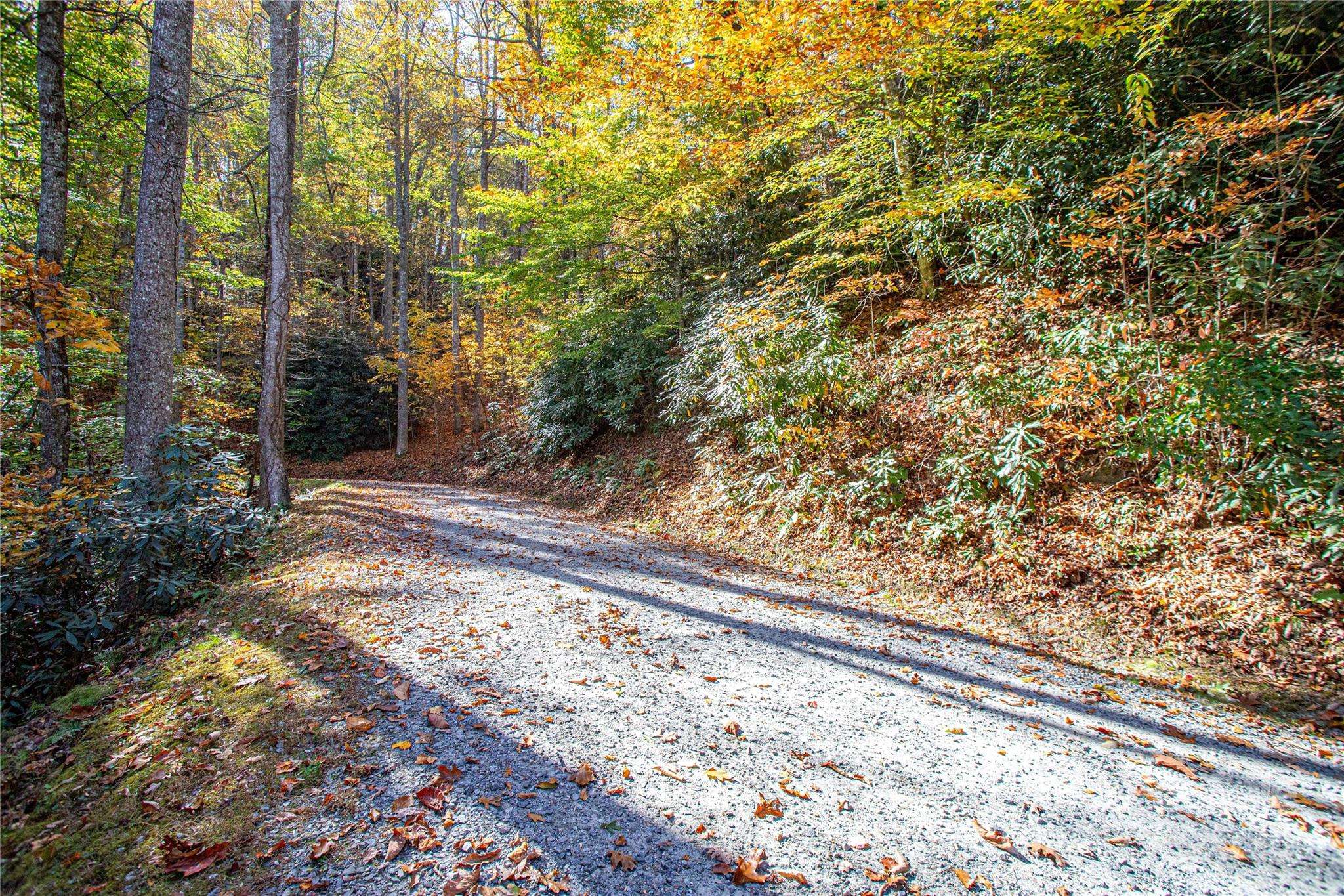 TBD Reserve RD #9A, Brevard, NC 28712