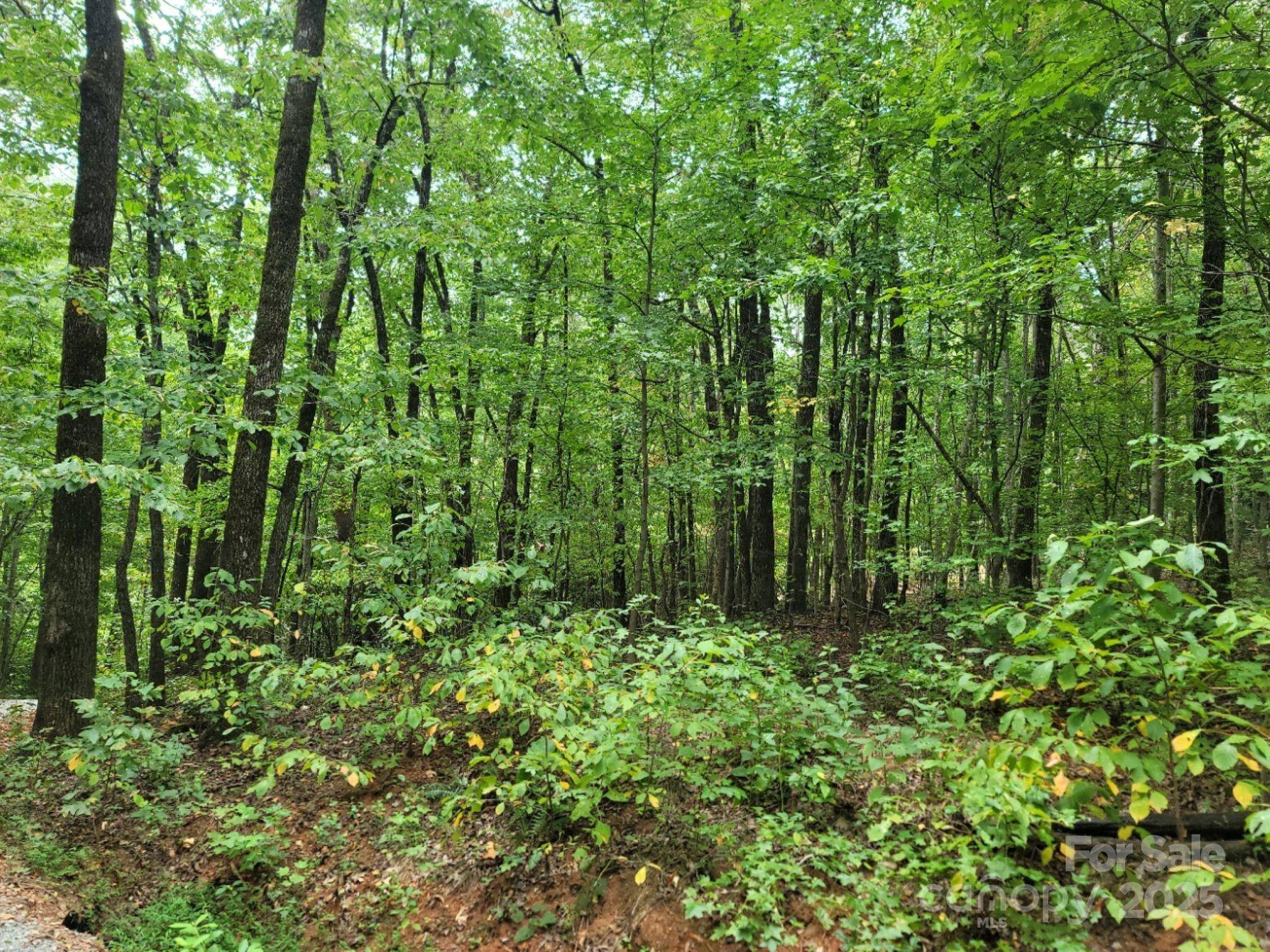 219 Judy RD, Casar, NC 28020