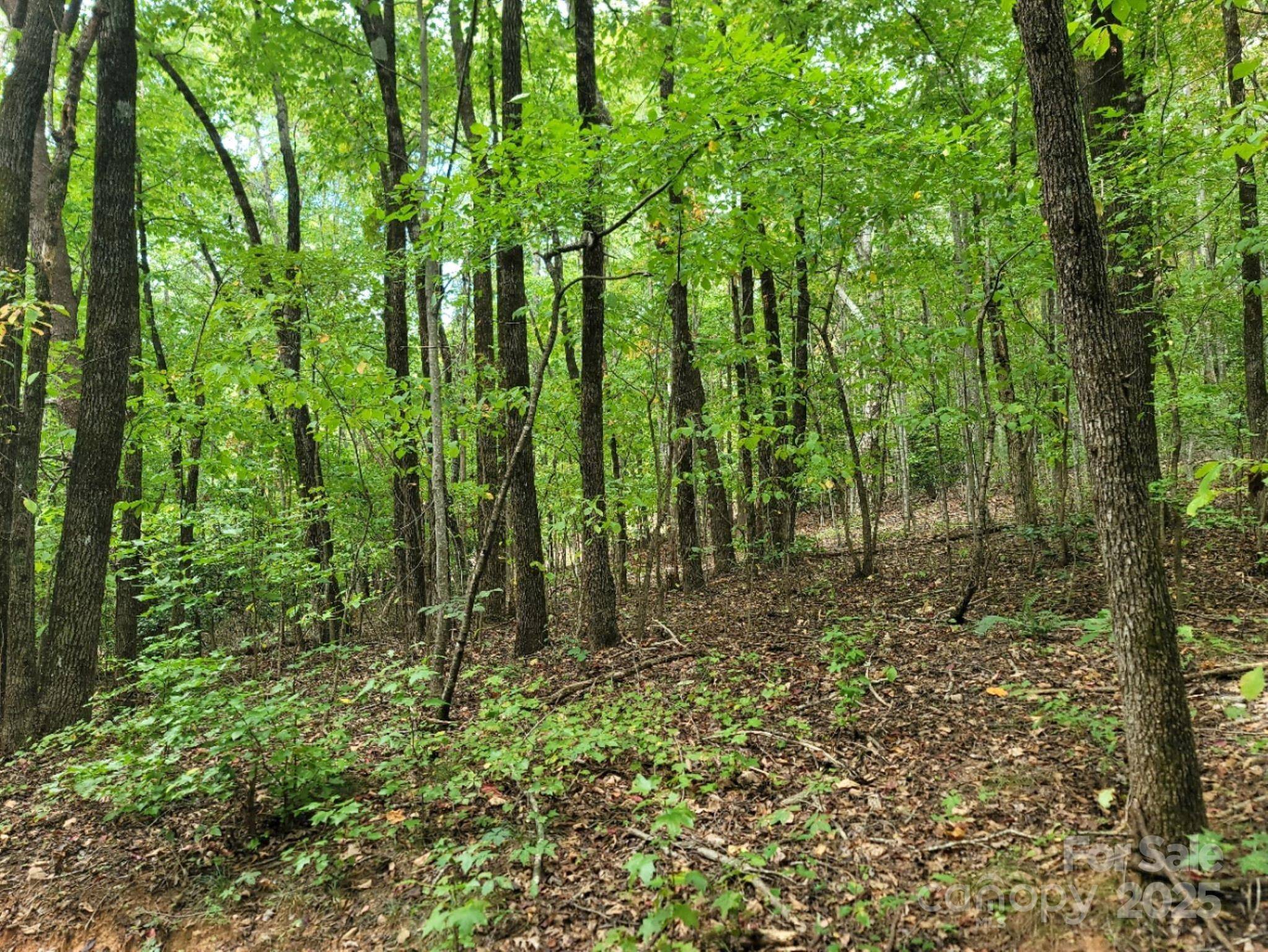 219 Judy RD, Casar, NC 28020