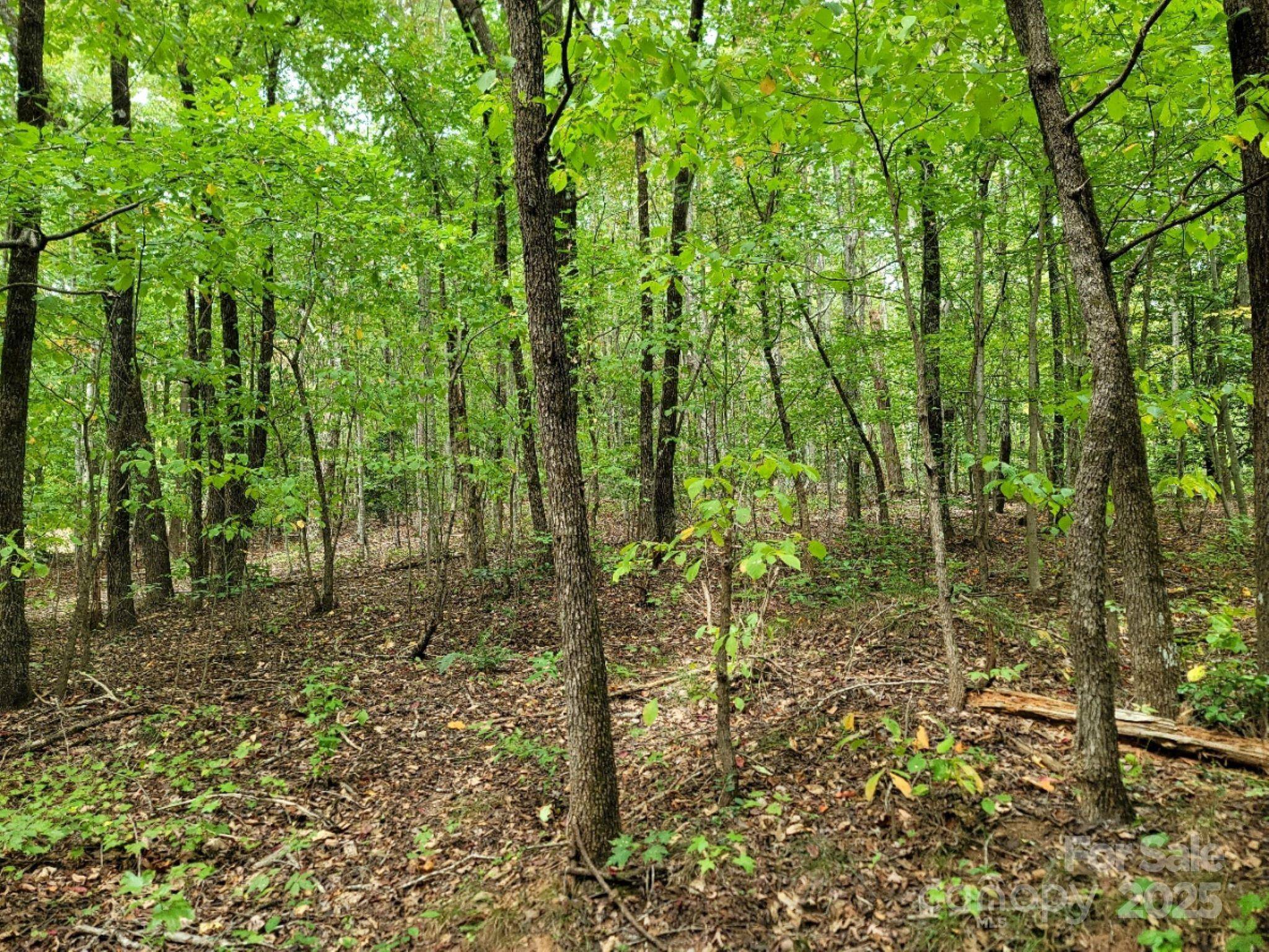 219 Judy RD, Casar, NC 28020