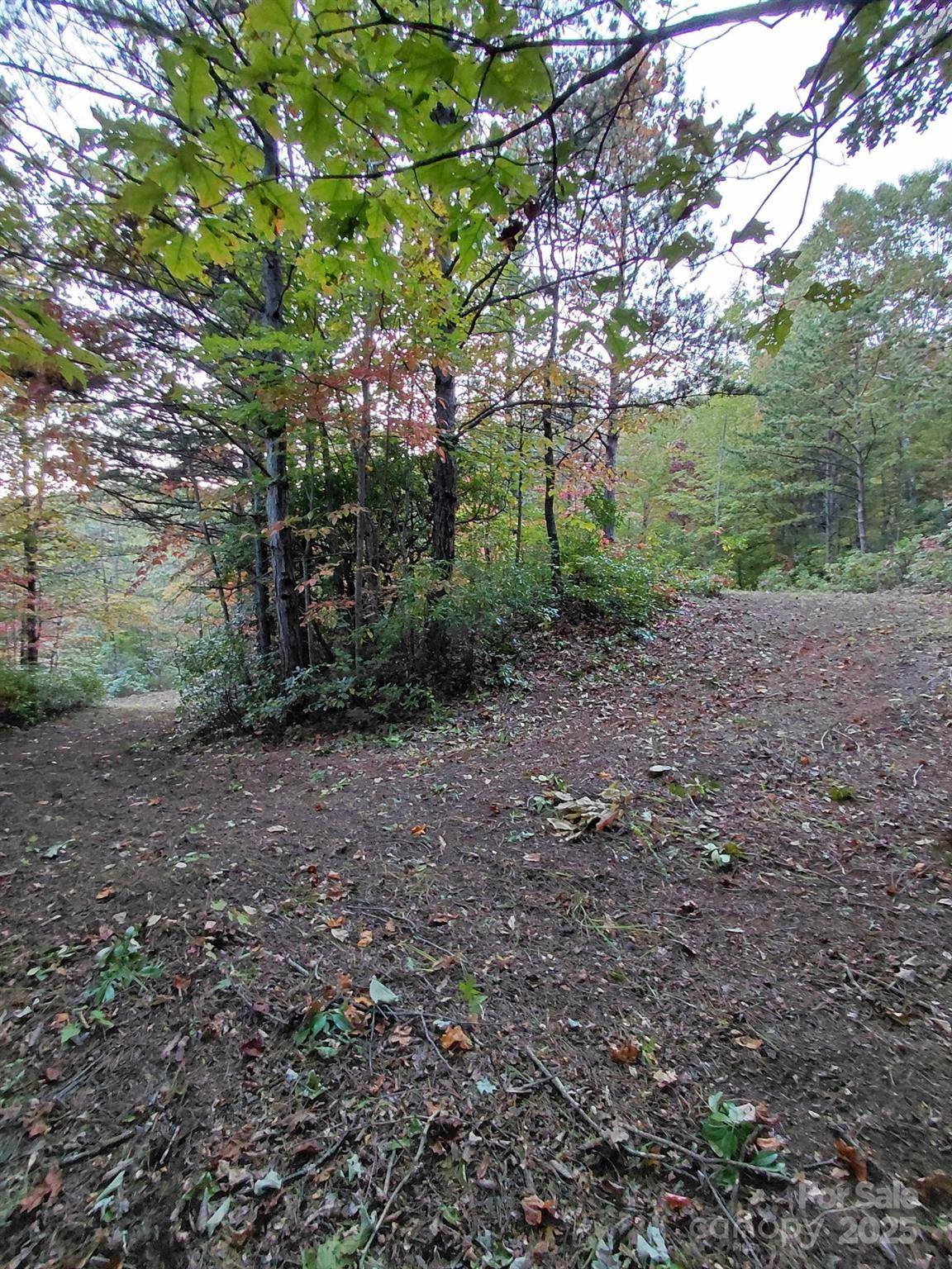 368 Sassafras DR #726, Old Fort, NC 28762