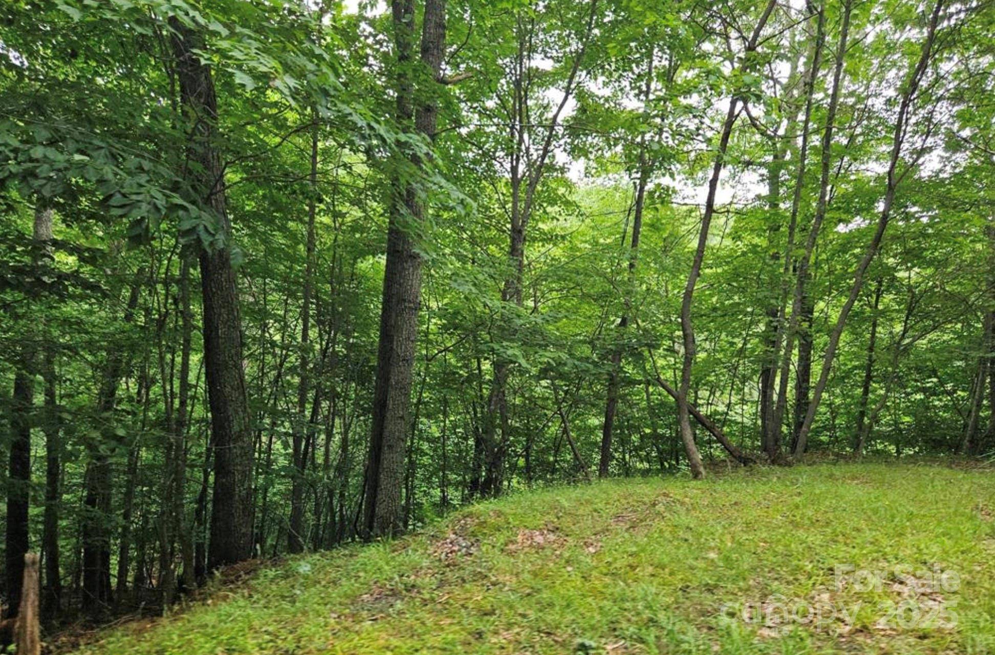 Lot 3 Mountain View RD, Burnsville, NC 28714