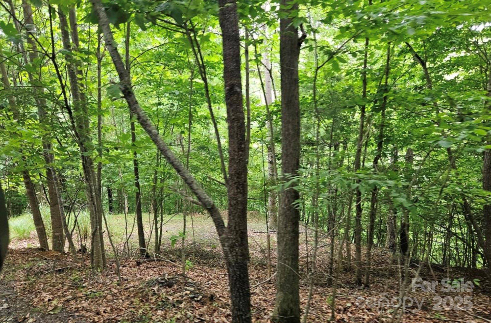 Lot 3 Mountain View RD, Burnsville, NC 28714