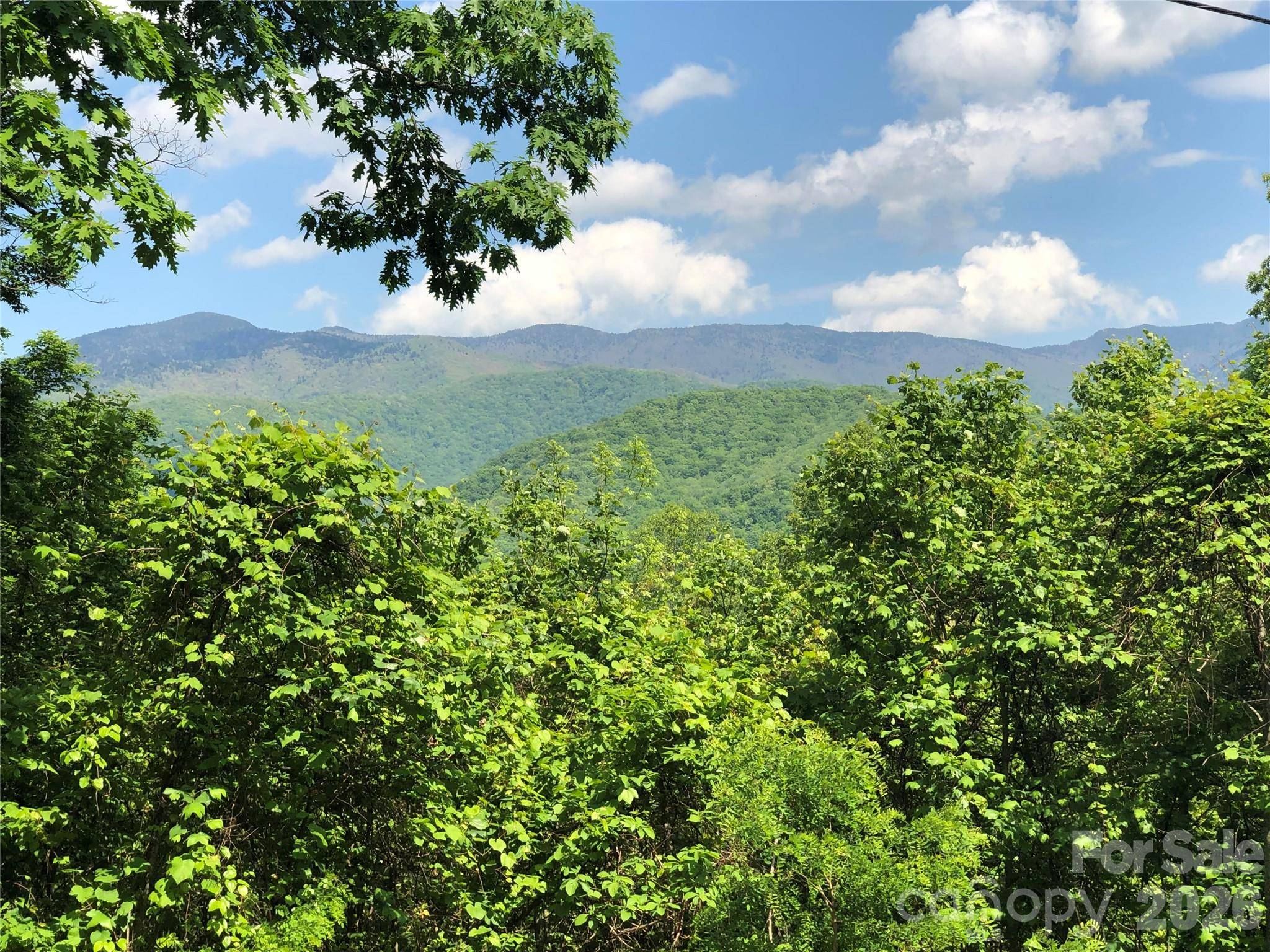 Lots 61 and  62 Wildwood DR, Burnsville, NC 28714