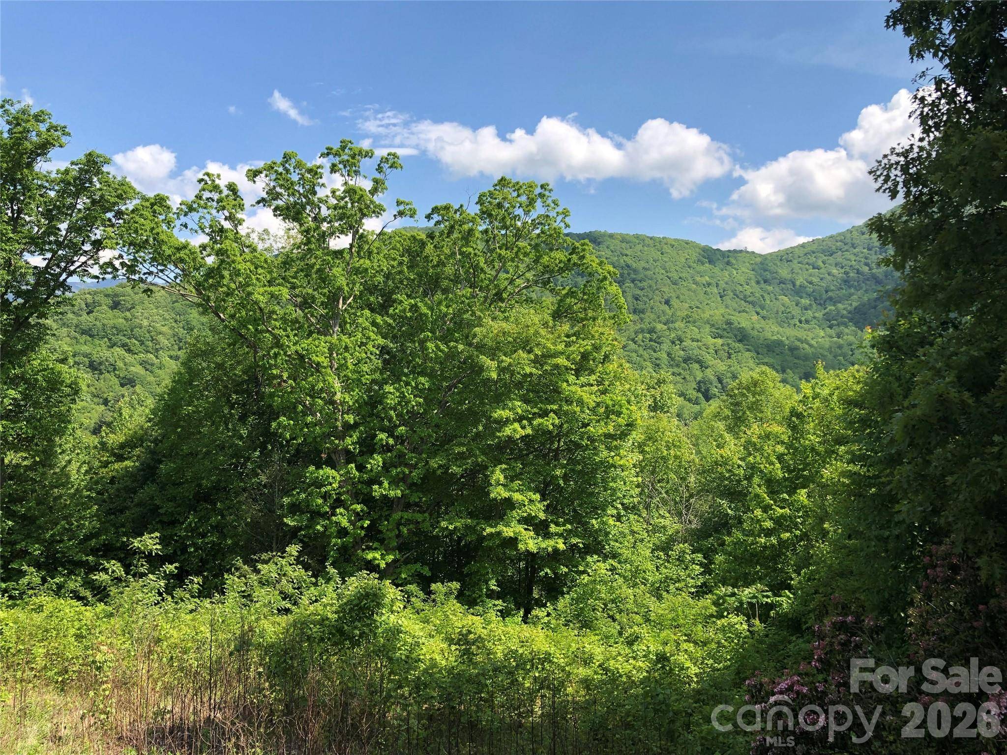 Lots 61 and  62 Wildwood DR, Burnsville, NC 28714