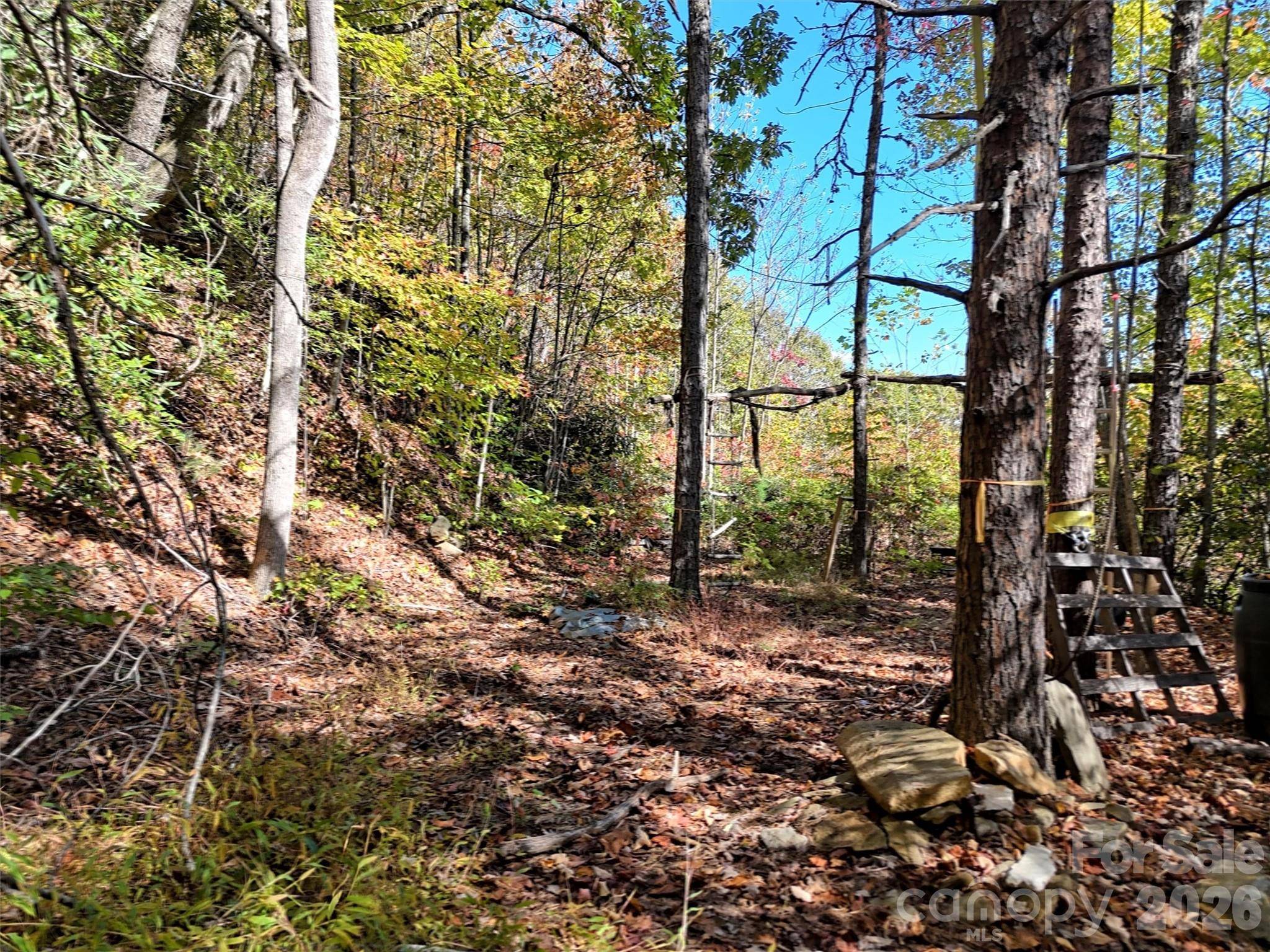 0 Mack Luke RD #6, Whittier, NC 28789