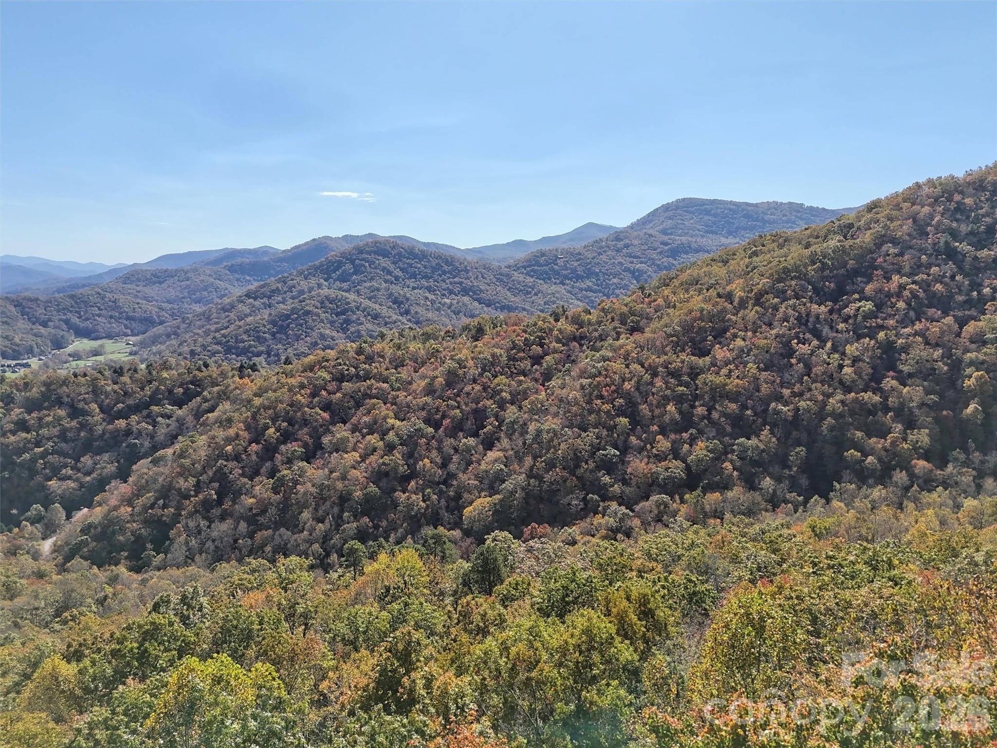 00 Mack Luke RD #7, Whittier, NC 28789