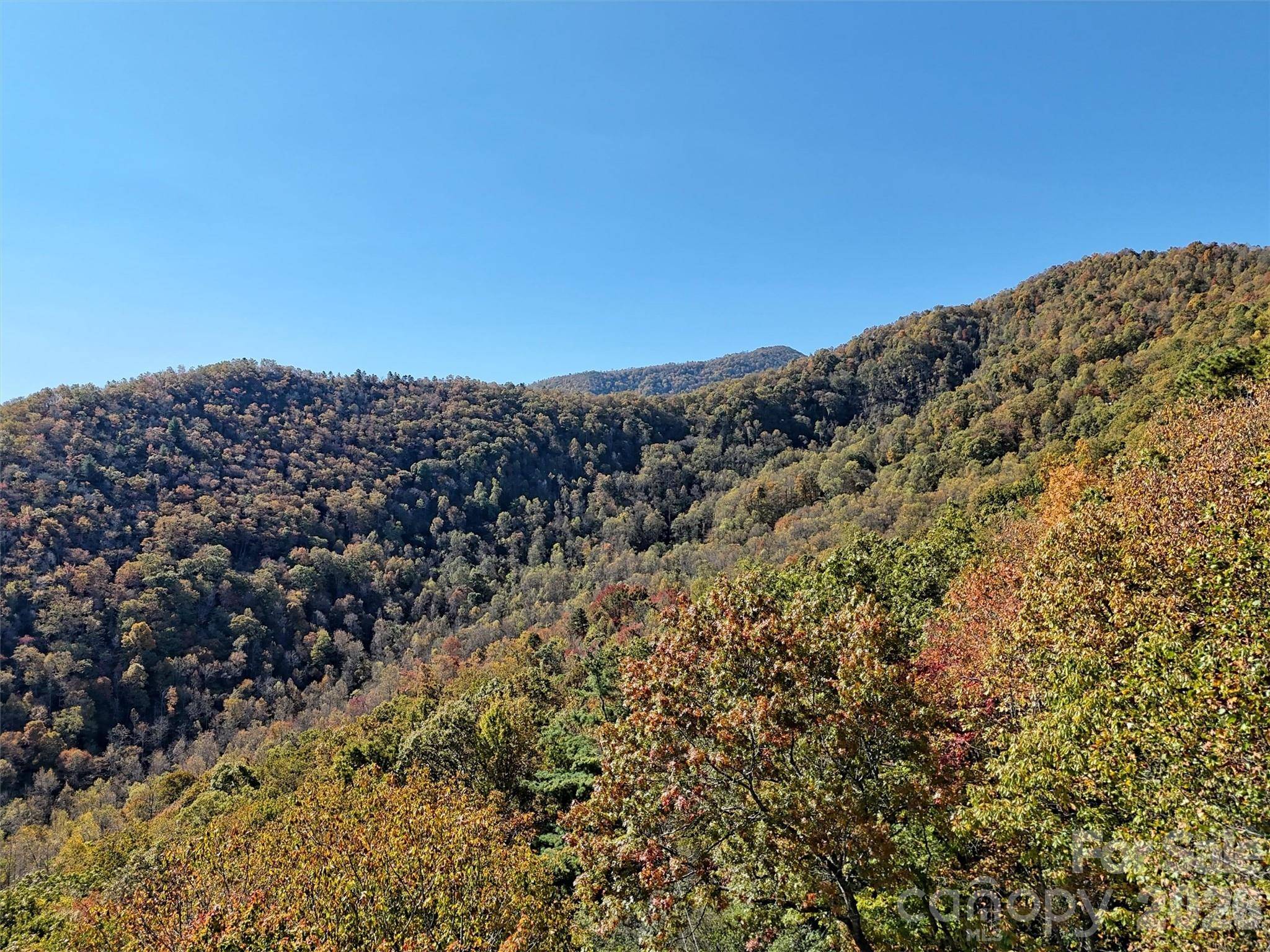 00 Mack Luke RD #7, Whittier, NC 28789
