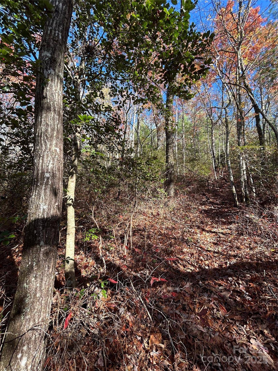 Lot 3 and 4 Oriole RD, Brevard, NC 28712