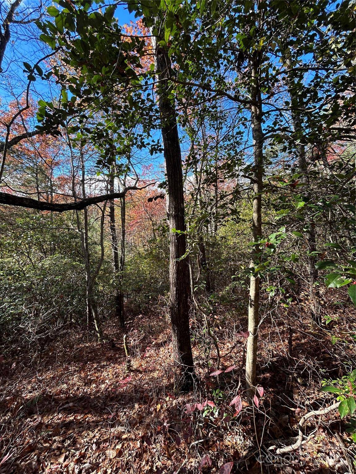 Lot 3 and 4 Oriole RD, Brevard, NC 28712