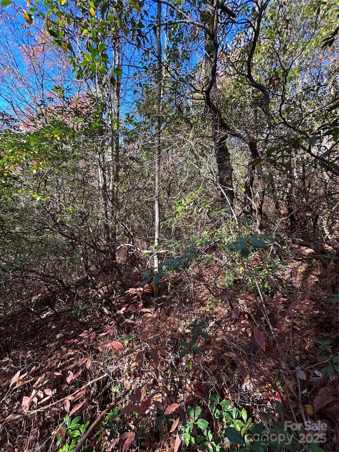 Lot 3 and 4 Oriole RD, Brevard, NC 28712