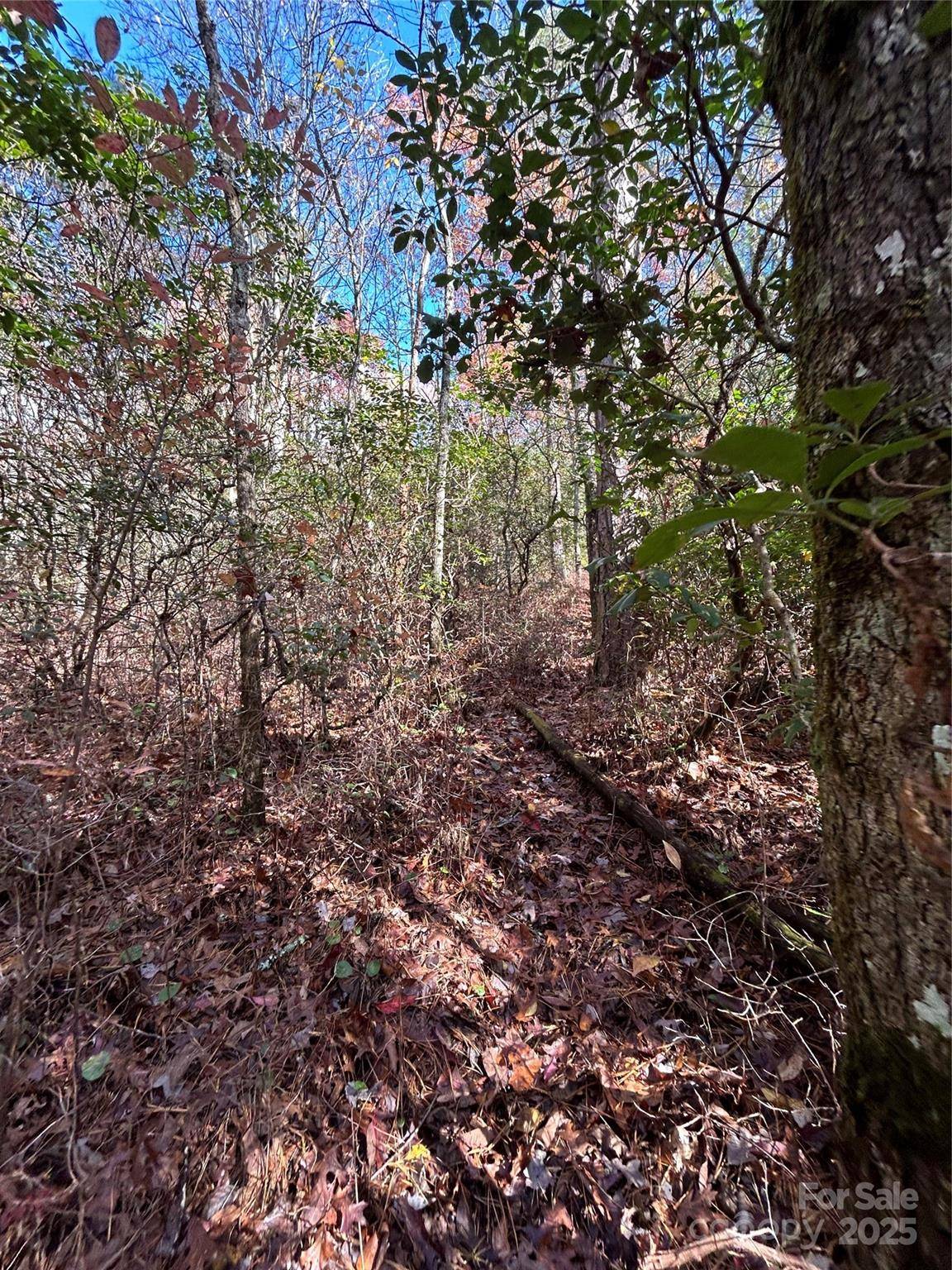Lot 3 and 4 Oriole RD, Brevard, NC 28712