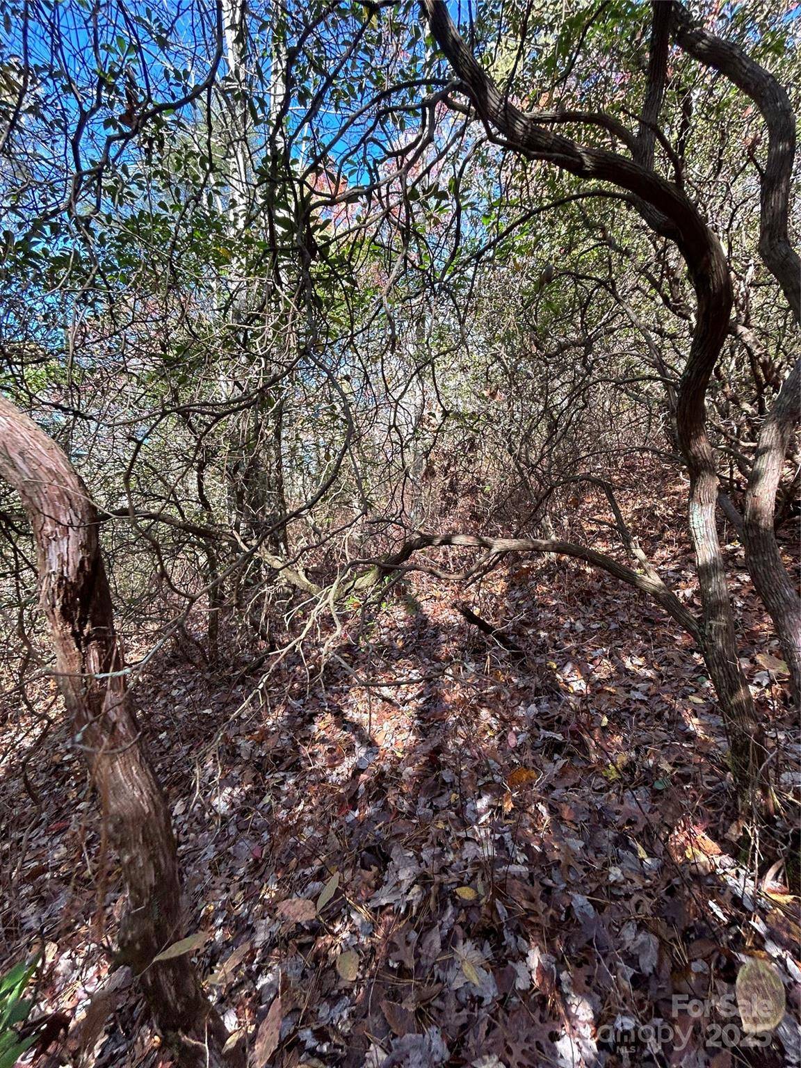 Lot 3 and 4 Oriole RD, Brevard, NC 28712