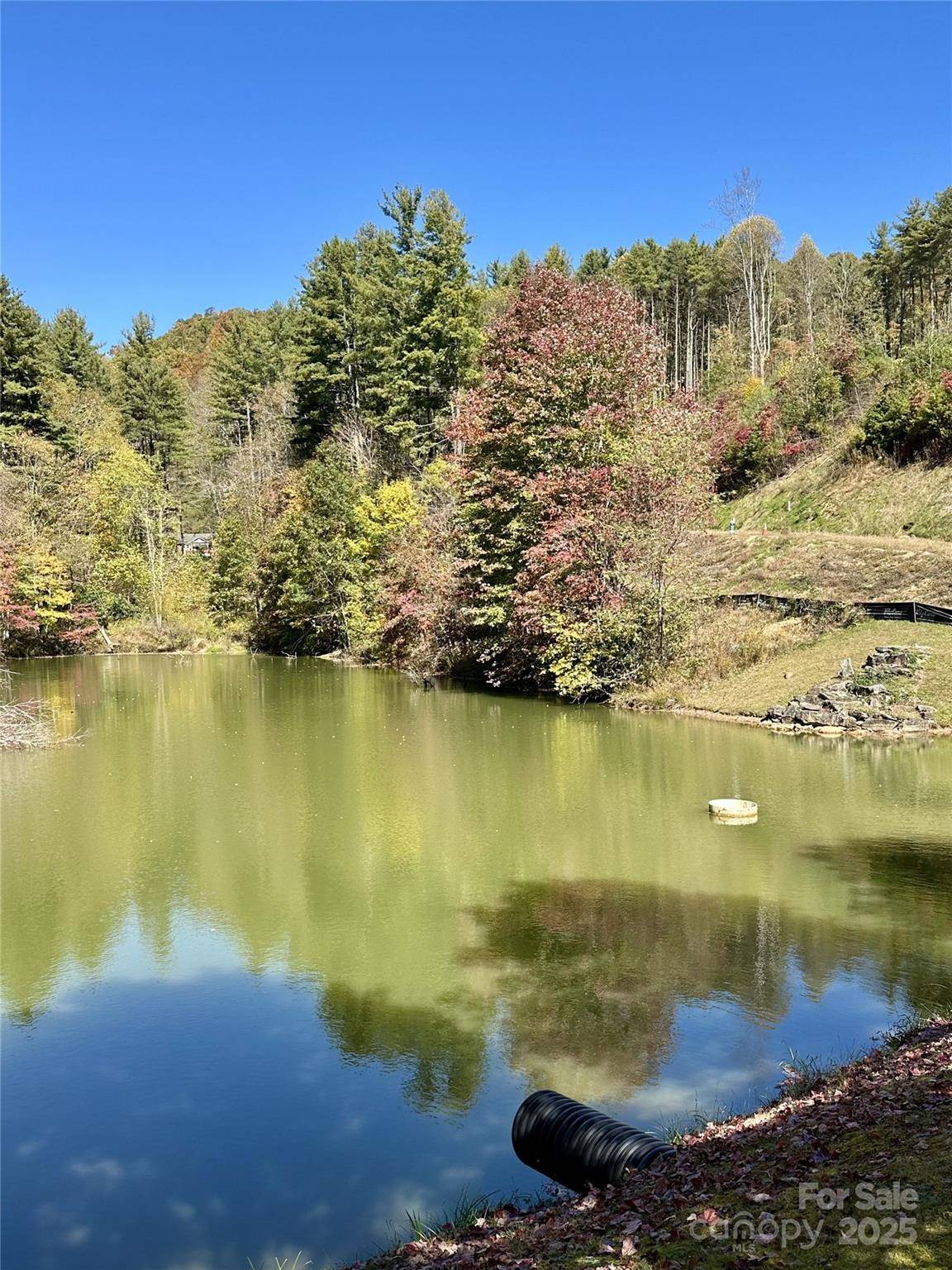 11 Freshwater CV, Maggie Valley, NC 28751