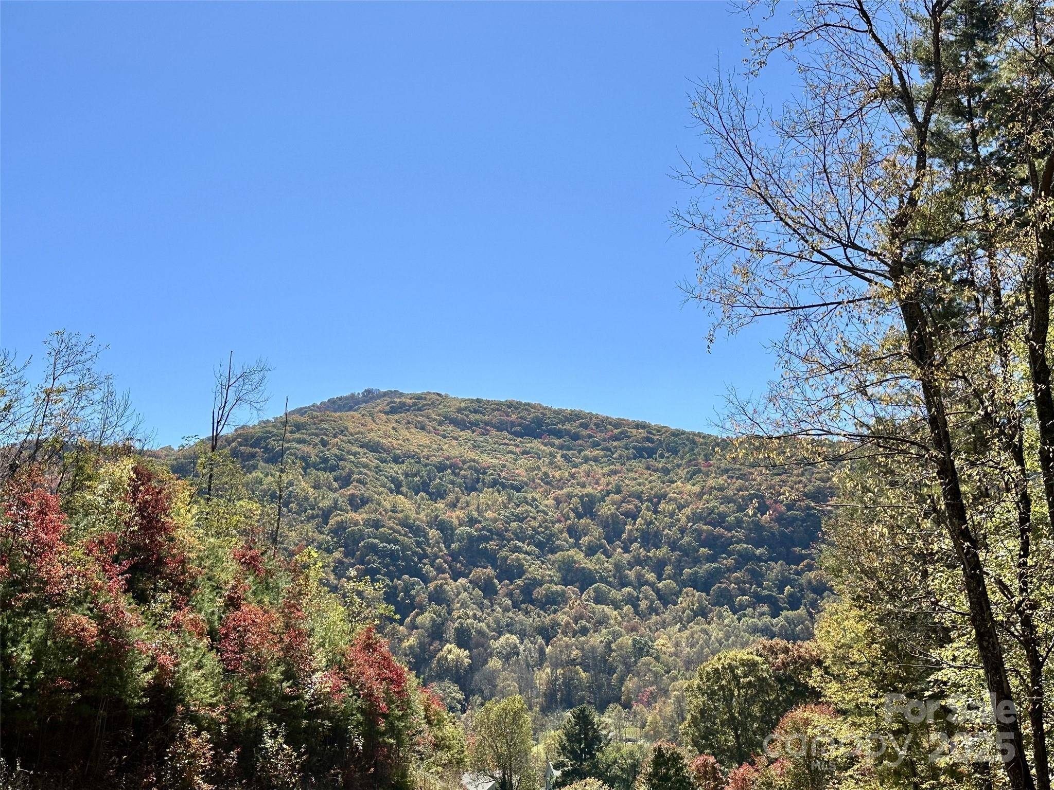 11 Freshwater CV, Maggie Valley, NC 28751