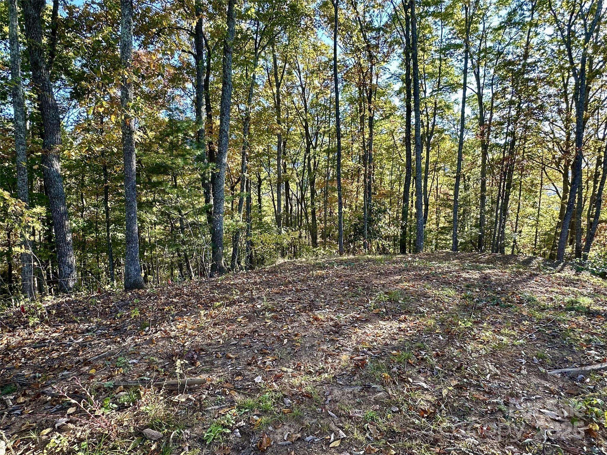 534 Cicada DR, Maggie Valley, NC 28751