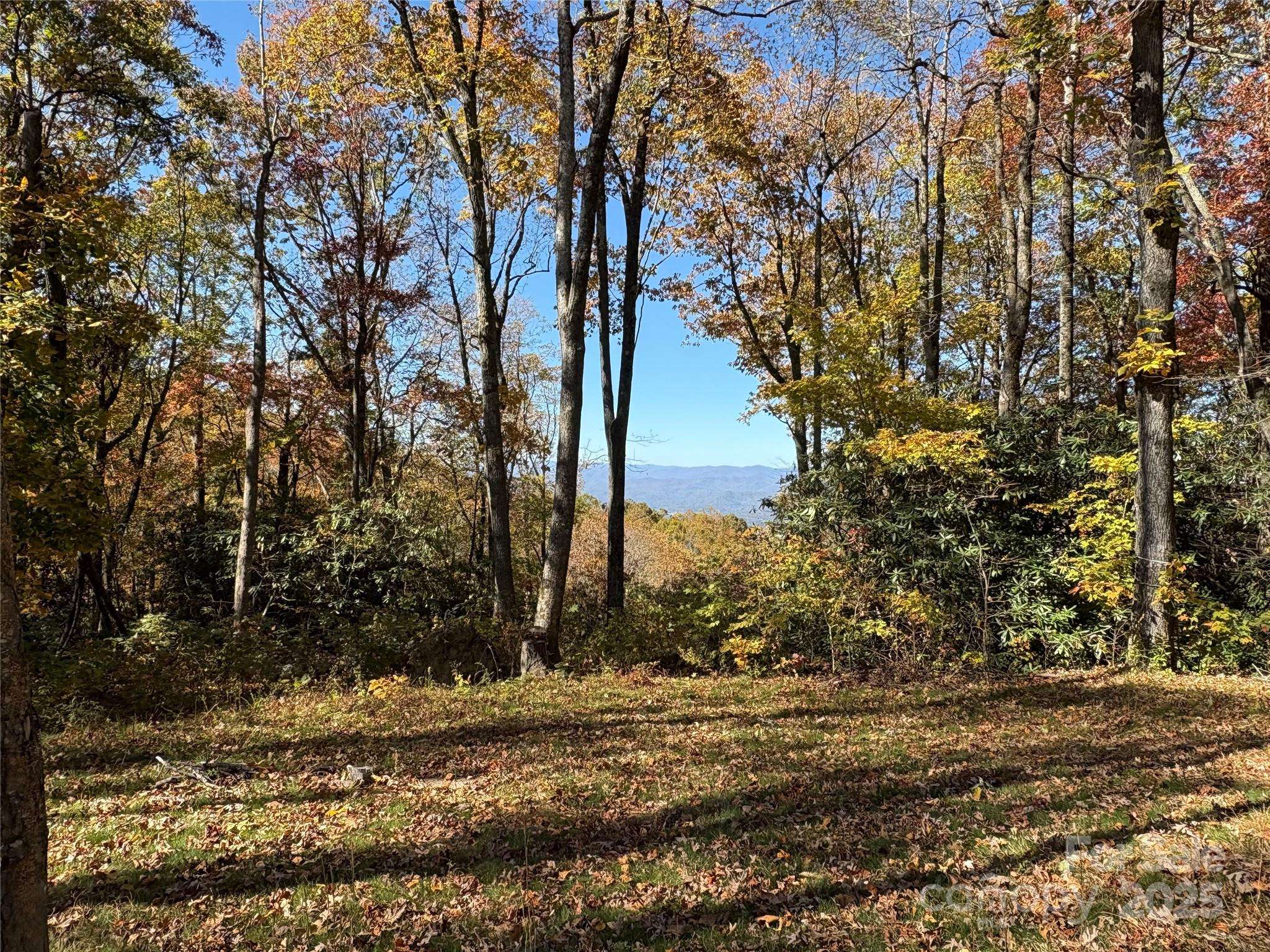 45 Trillium Garden TRL #Lot 29, Fletcher, NC 28732
