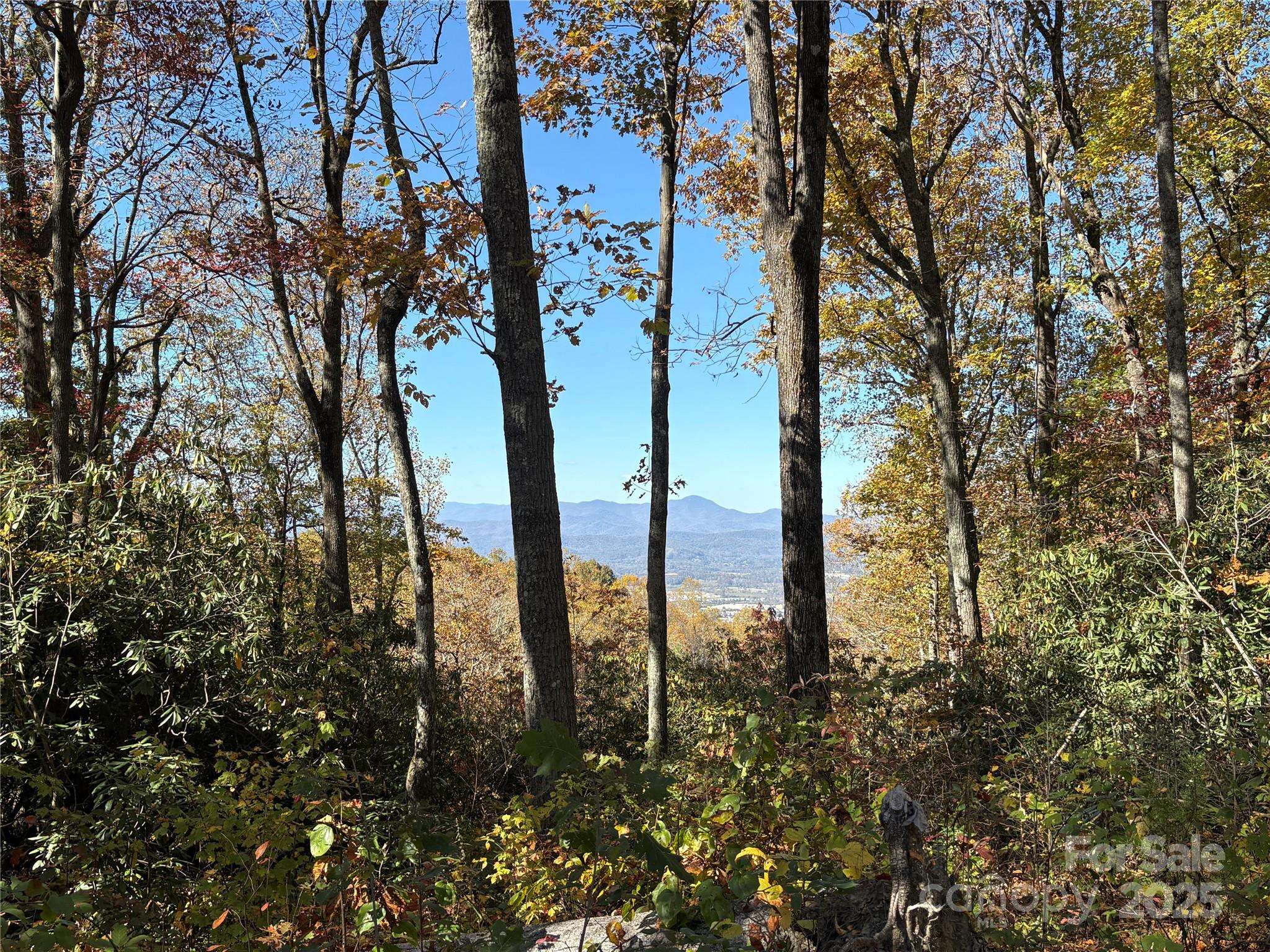 45 Trillium Garden TRL #Lot 29, Fletcher, NC 28732