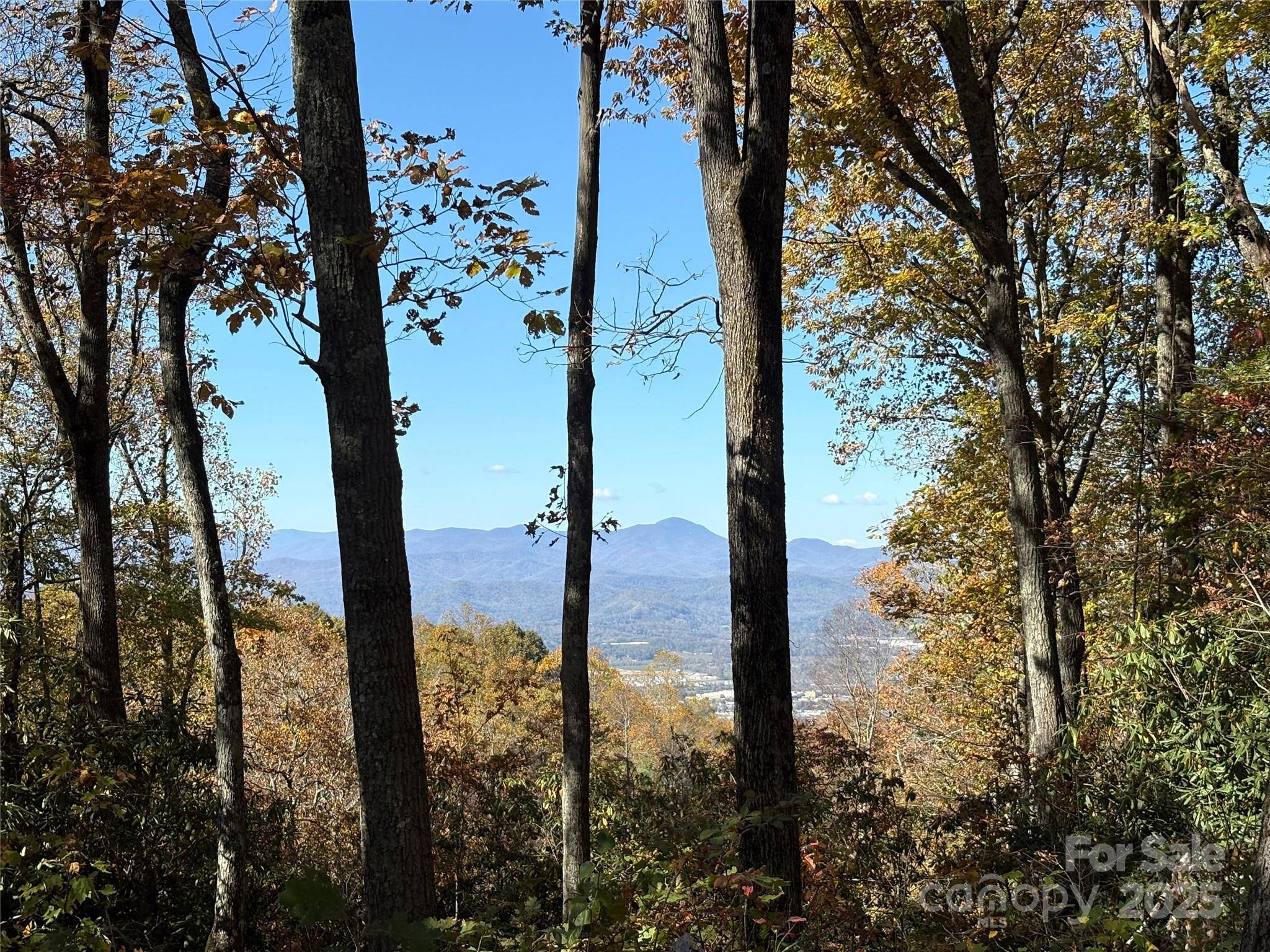 45 Trillium Garden TRL #Lot 29, Fletcher, NC 28732