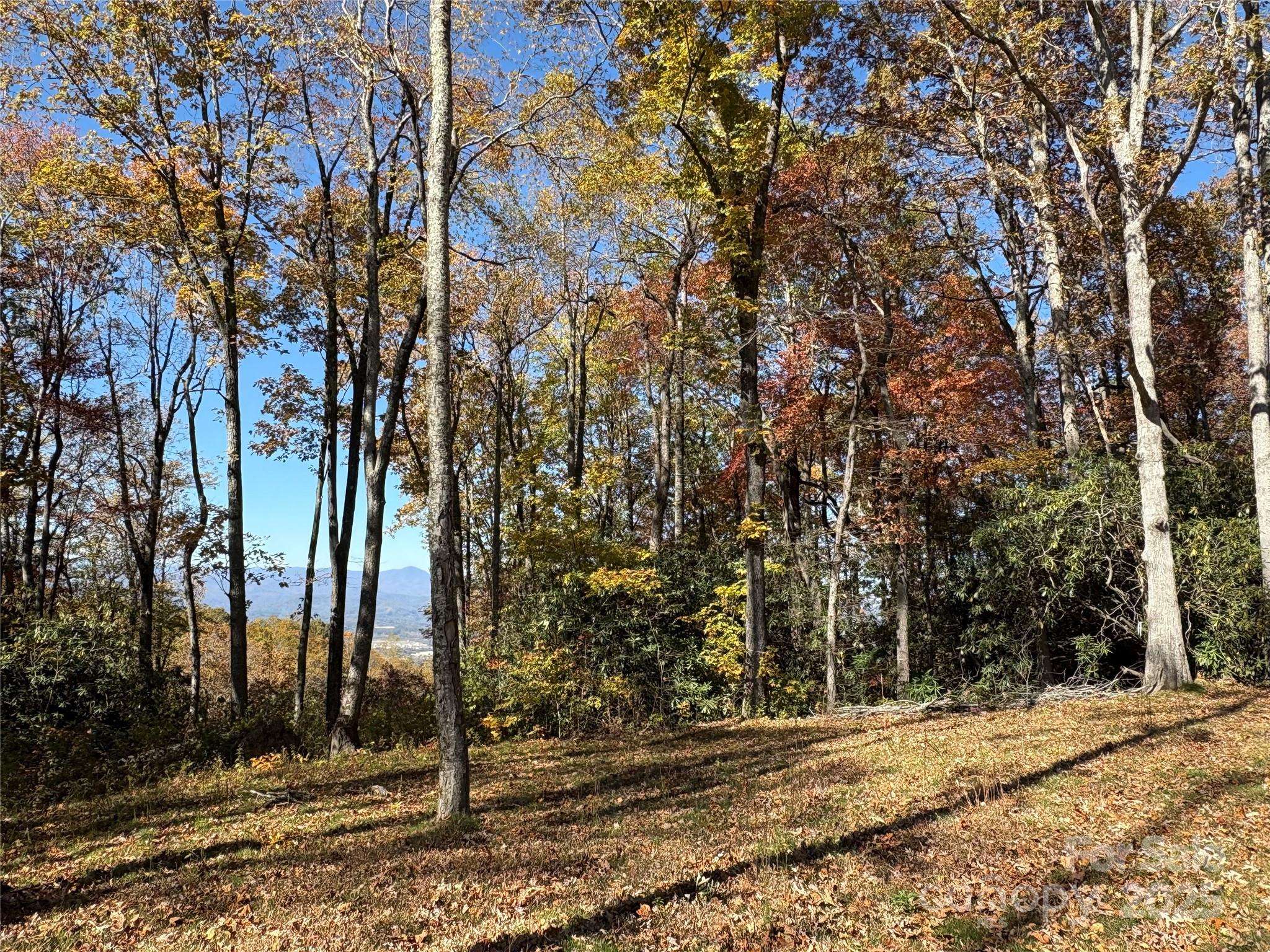 45 Trillium Garden TRL #Lot 29, Fletcher, NC 28732