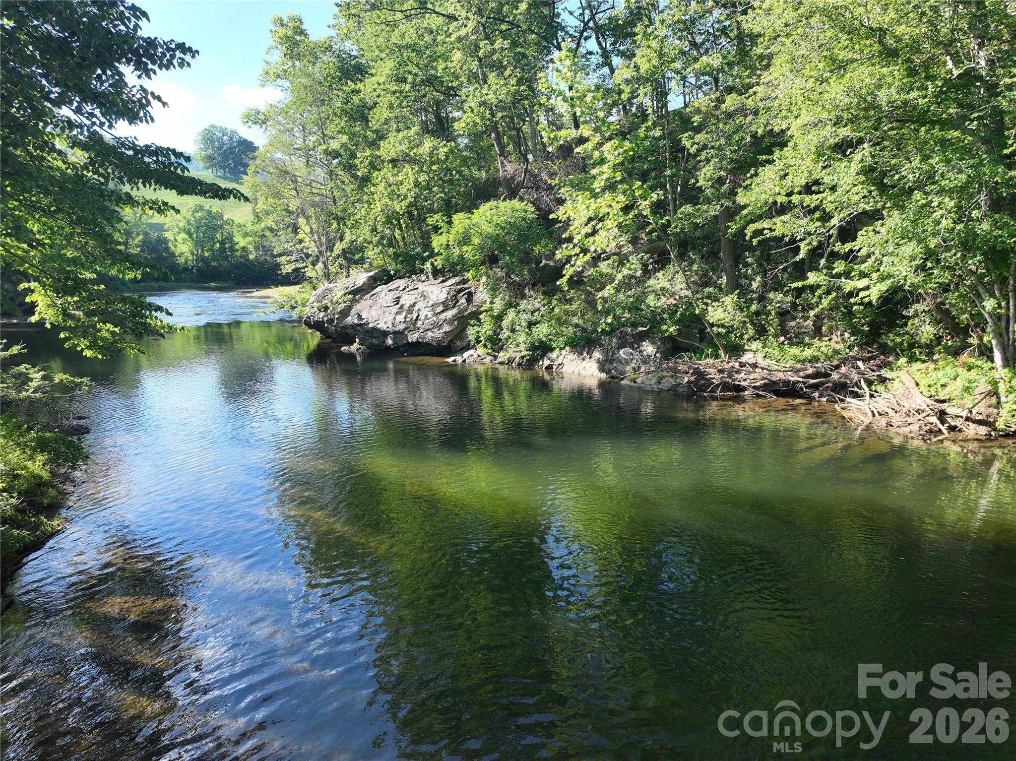 99 Thistle RDG, Canton, NC 28716