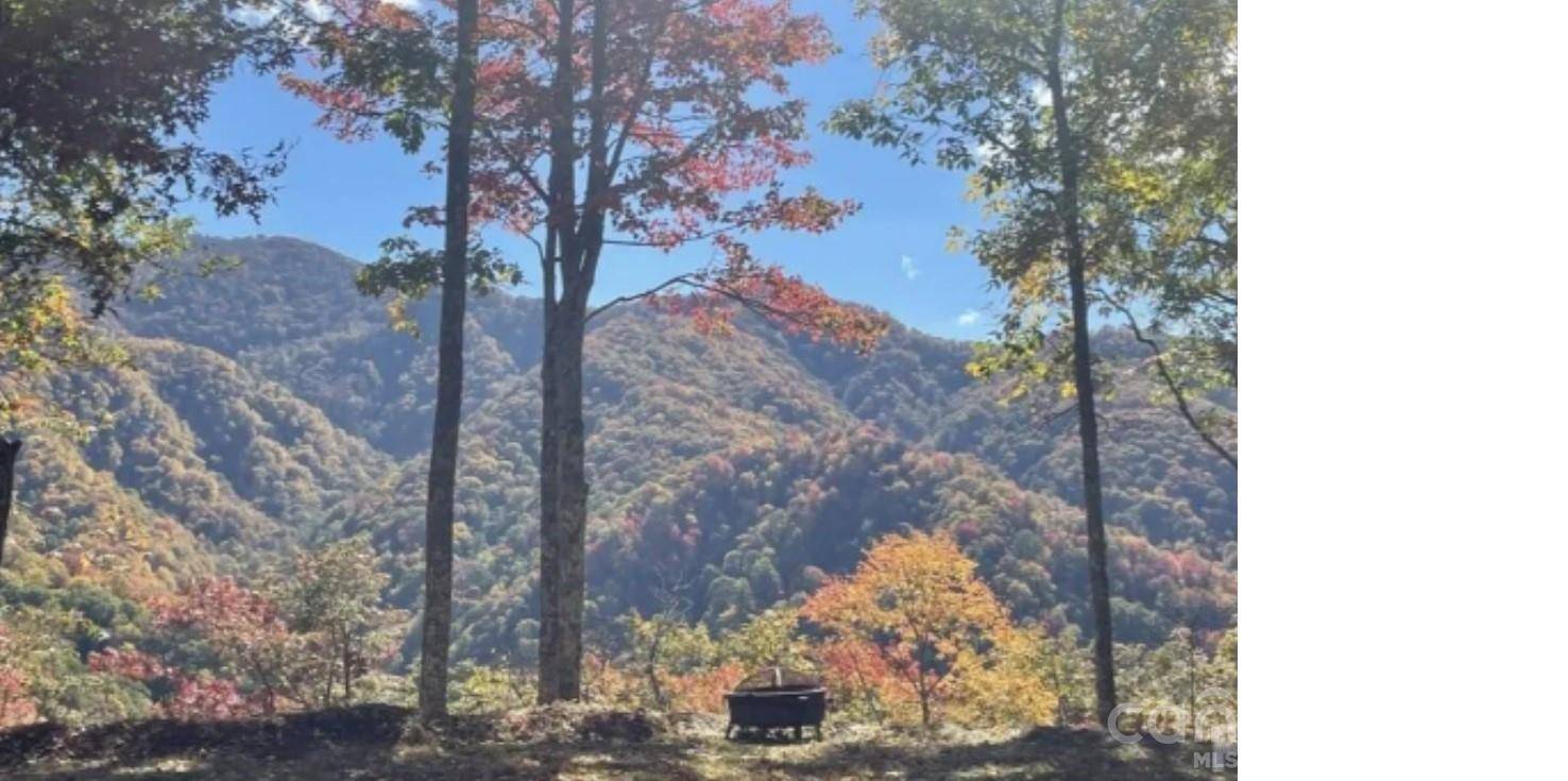 241 Bloom TRL, Sylva, NC 28779