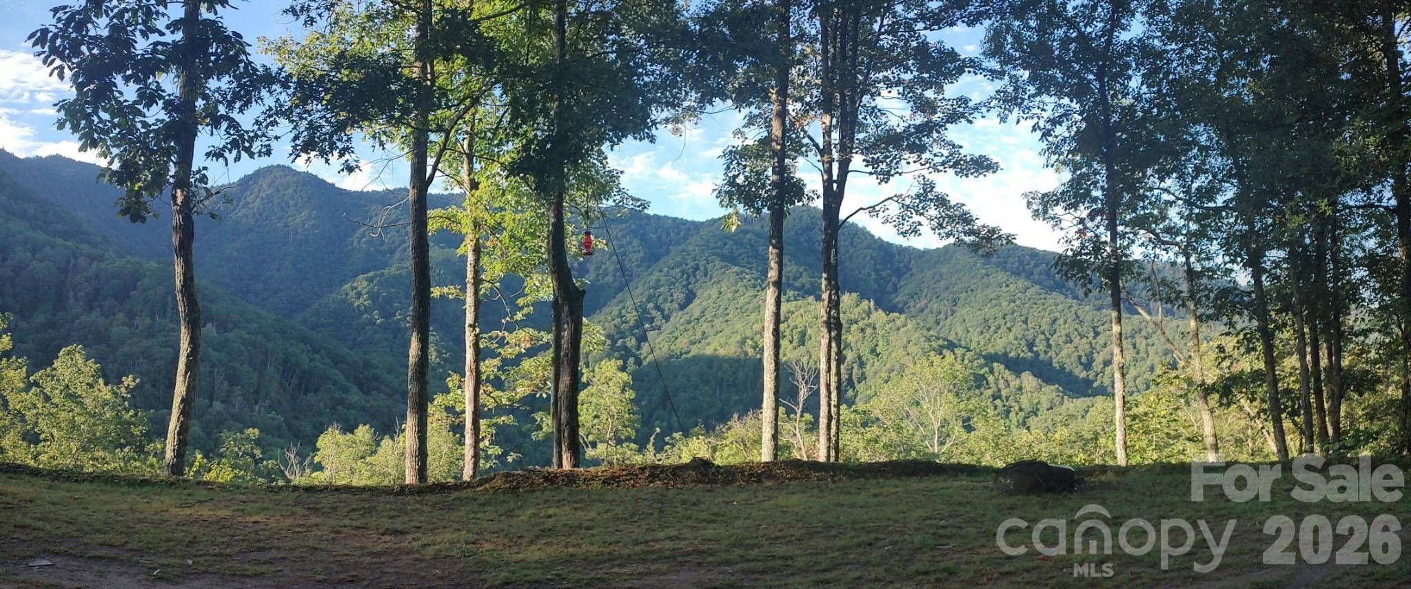 241 Bloom TRL, Sylva, NC 28779