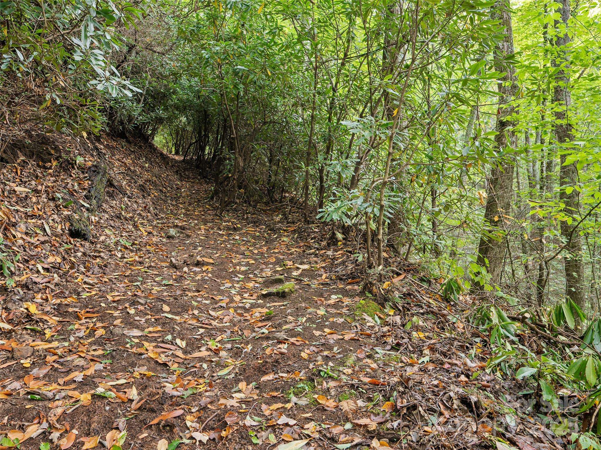 Lot 23 Finlaystone TRCE, Waynesville, NC 28786