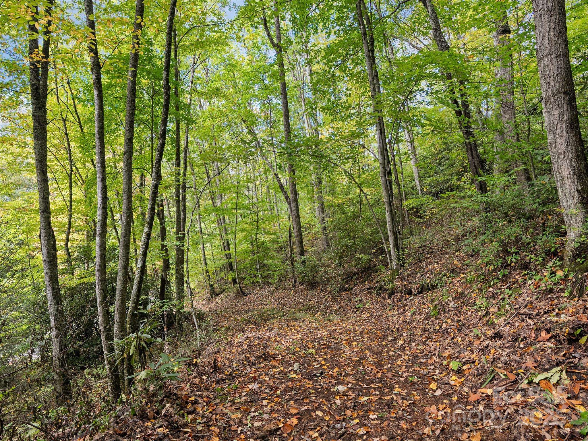 Lot 23 Finlaystone TRCE, Waynesville, NC 28786