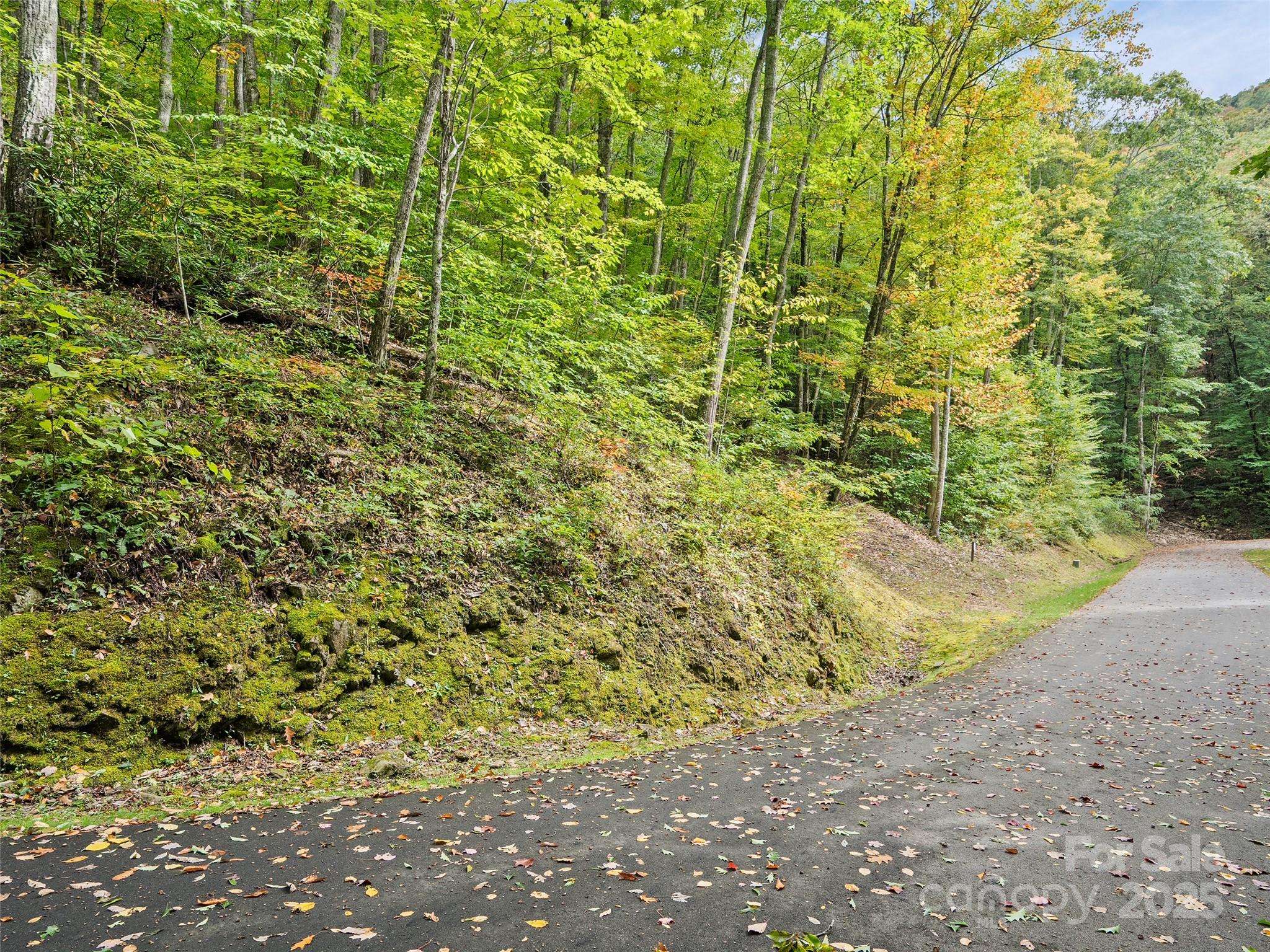 Lot 23 Finlaystone TRCE, Waynesville, NC 28786