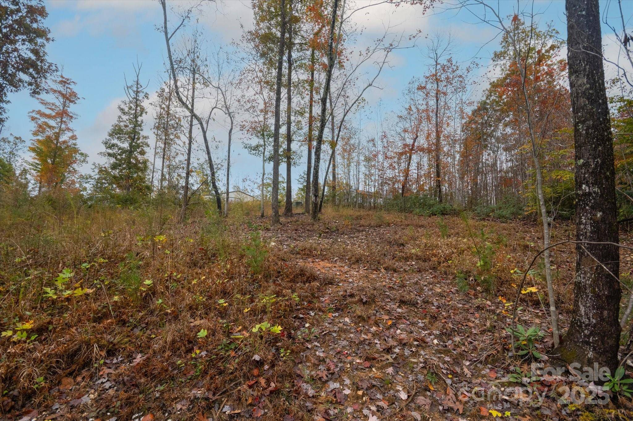 269 Mooseheart RD, Nebo, NC 28761