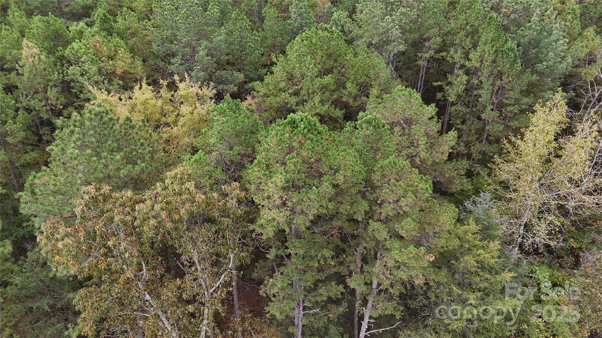 0 Trinity Church RD, Monroe, NC 28112